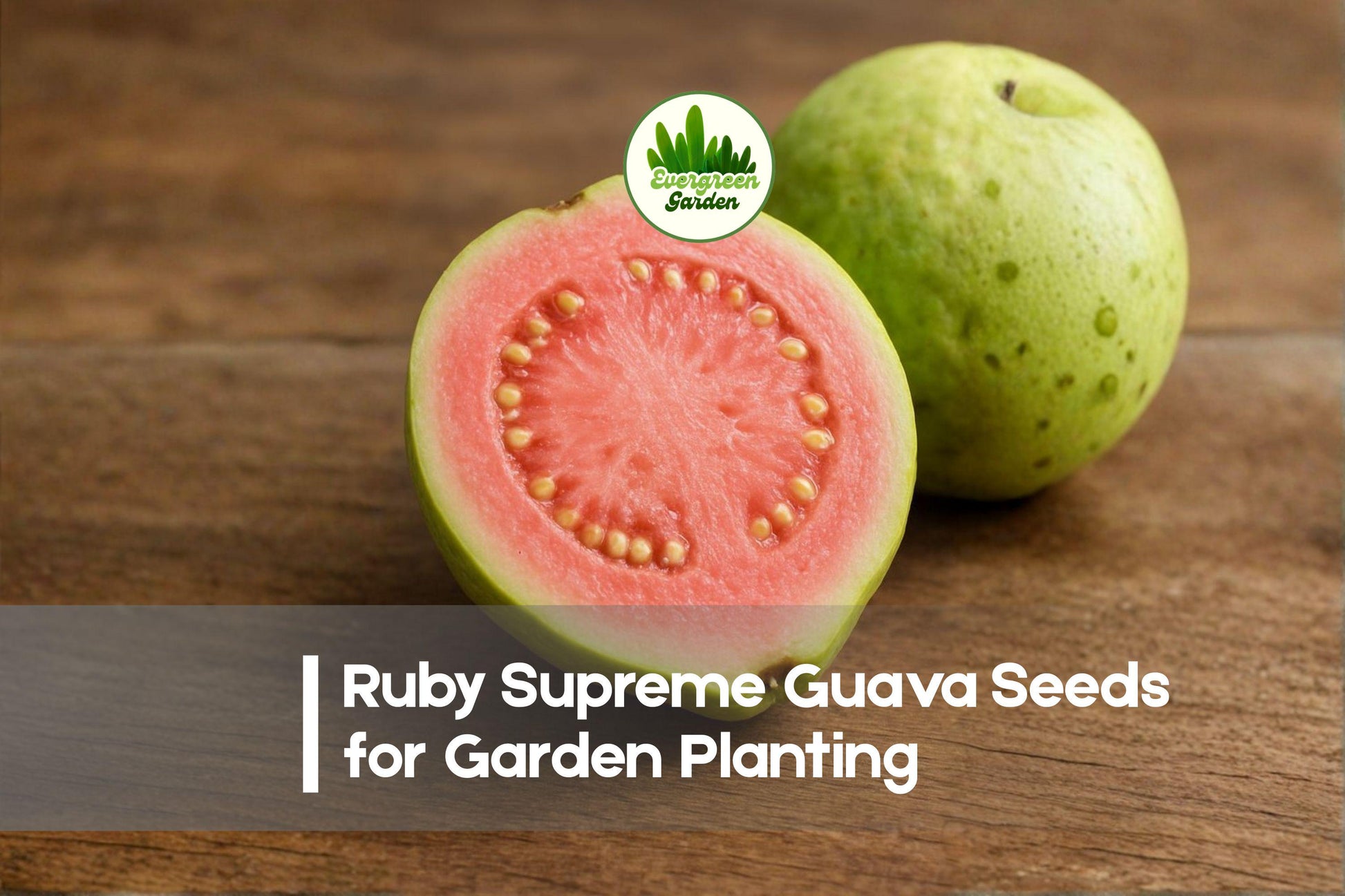 50+ Ruby Supreme Guava Seeds – Tropical Fruit Tree, Pink-Fleshed, Psidium guajava, Edible Landscaping, Juicing & Fresh Eating