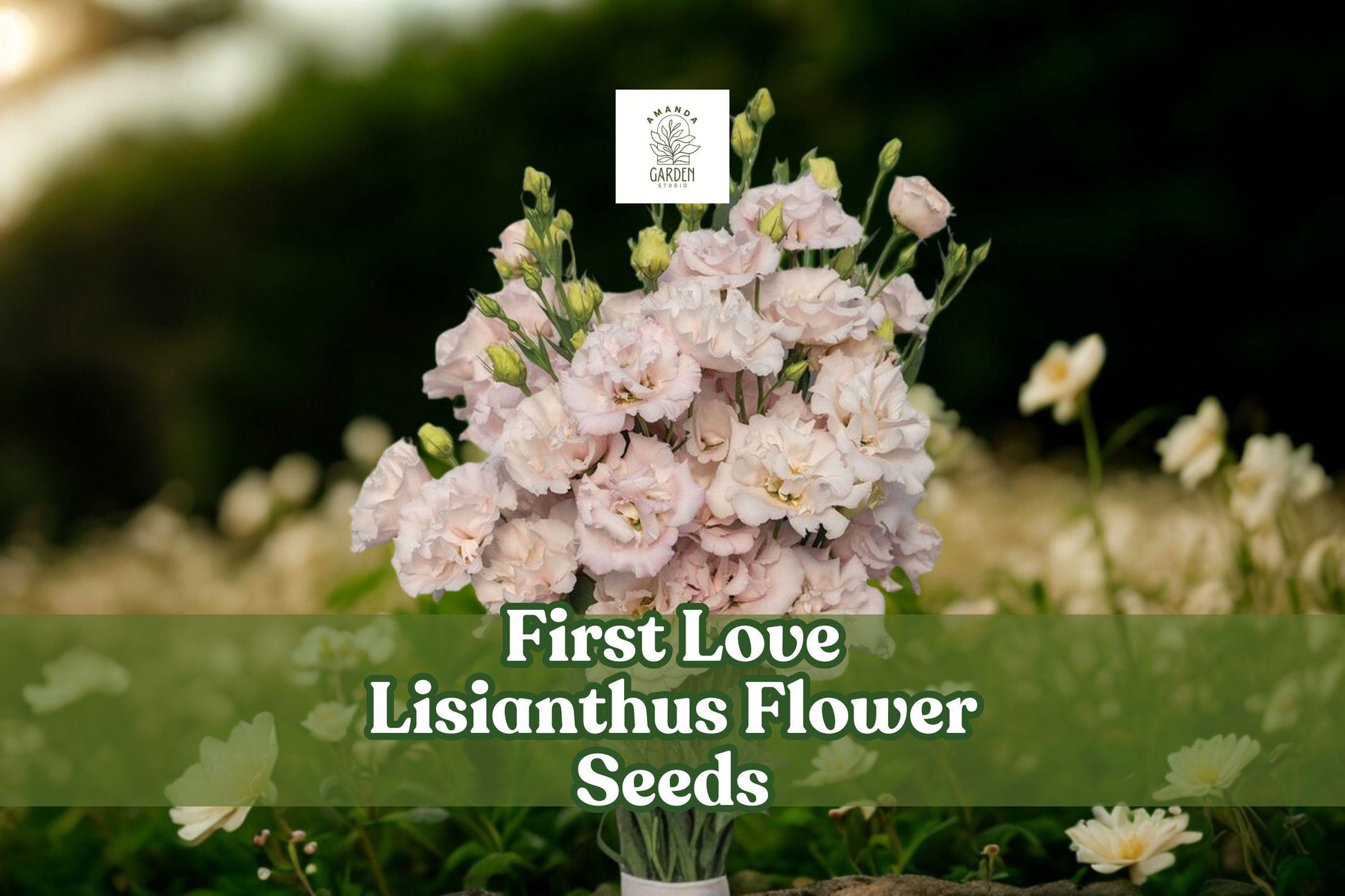 First Love Lisianthus Seeds – Soft Pink Eustoma Grandiflorum Pelleted Seeds for Garden, Bouquet & Floral Arrangements