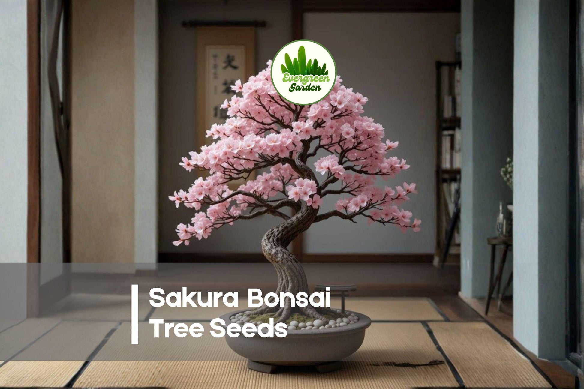 10 Sakura Bonsai Tree Seeds – Prunus serrulata Flowering Tree for Bonsai, Patio Pots & Garden Displays
