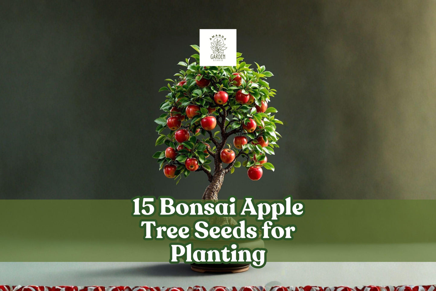 15 Bonsai Apple Tree Seeds | Malus domestica Mini Fruit Tree for Container & Indoor Growing