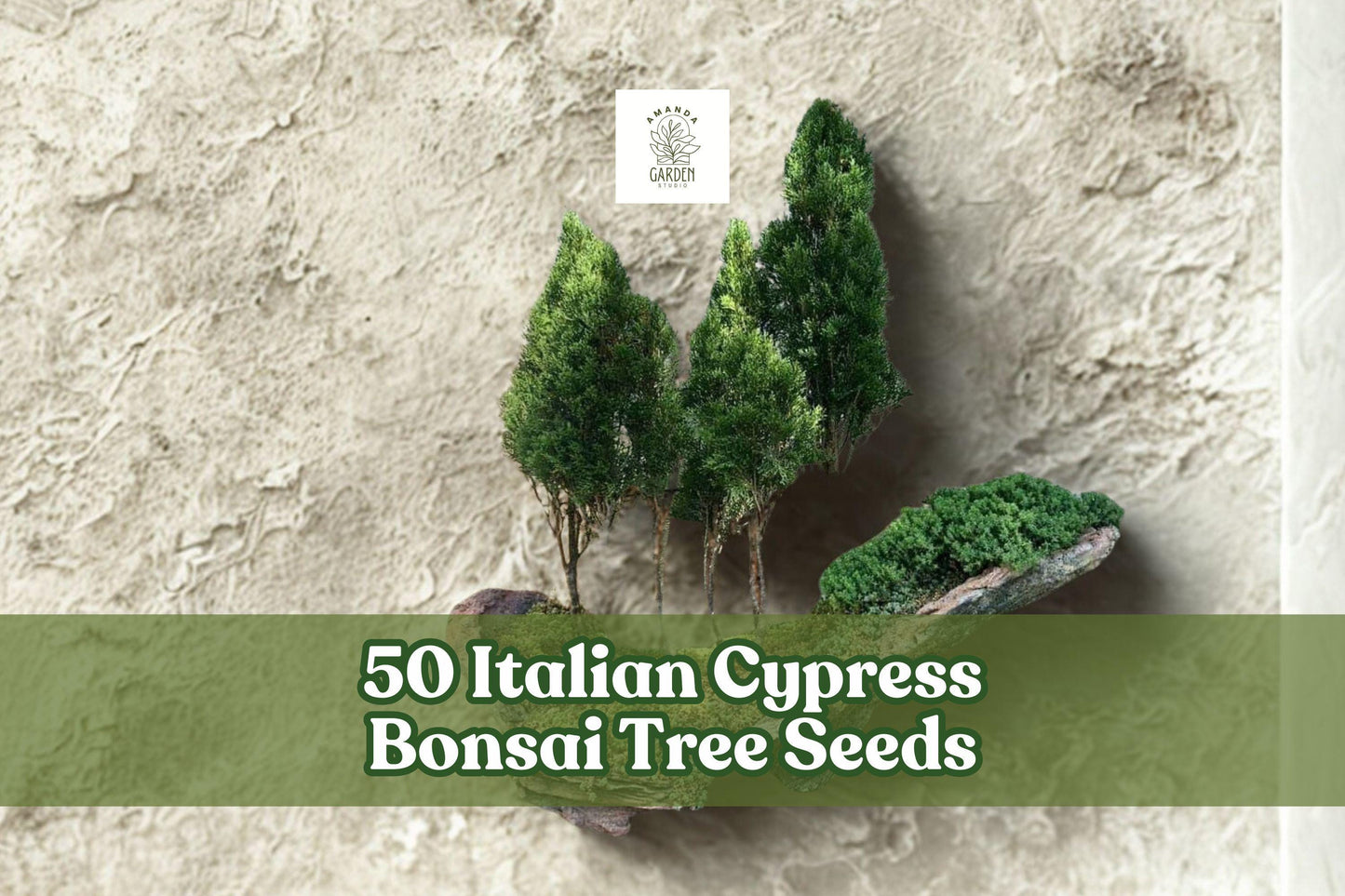 Italian Cypress Bonsai Tree Seeds – 50 Pack, Cupressus sempervirens, Evergreen Conifer for Bonsai & Container Gardening