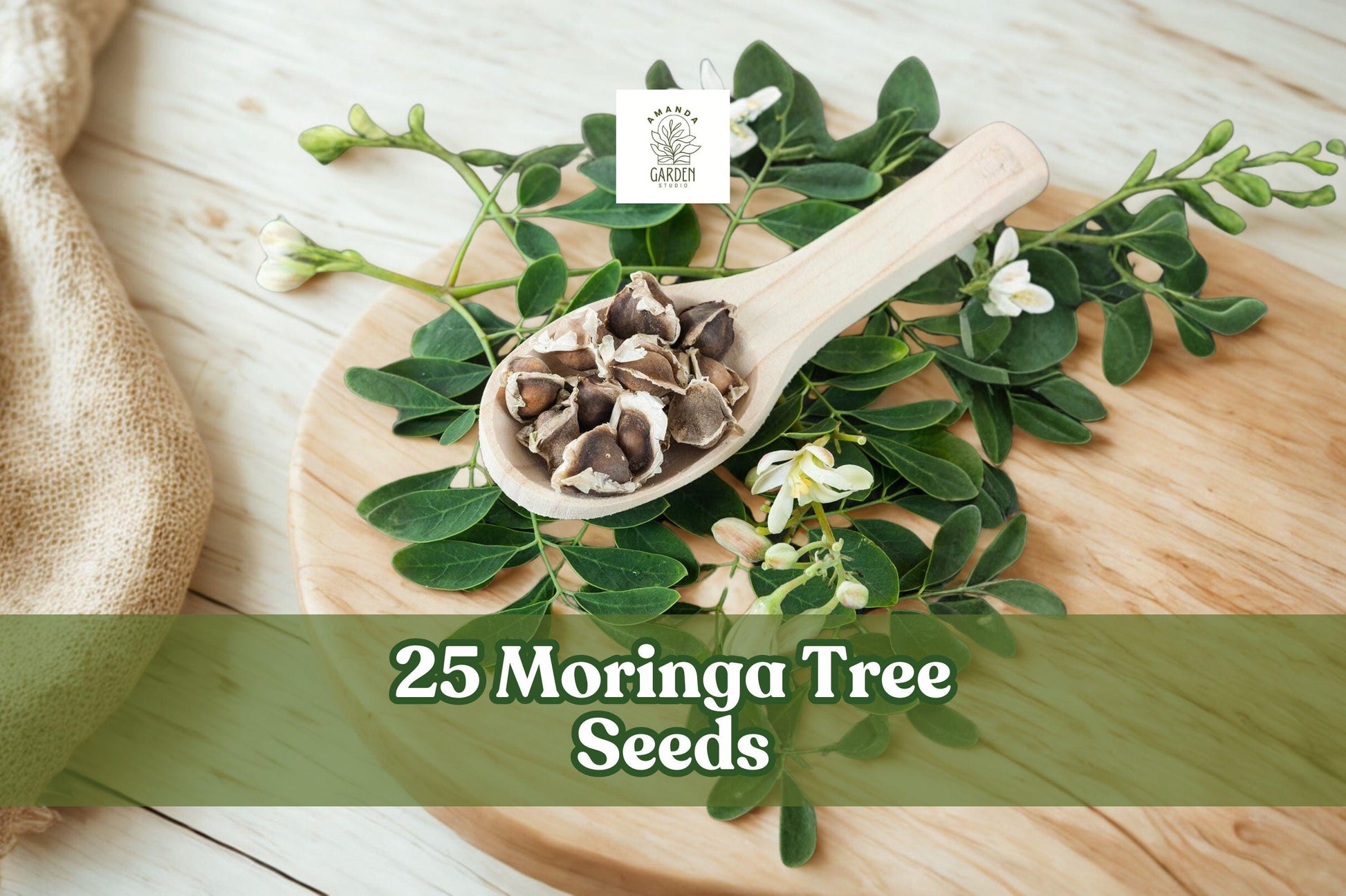 25 Moringa oleifera Tree Seeds for Planting | Tropical Fast-Growing Garden Tree Seeds