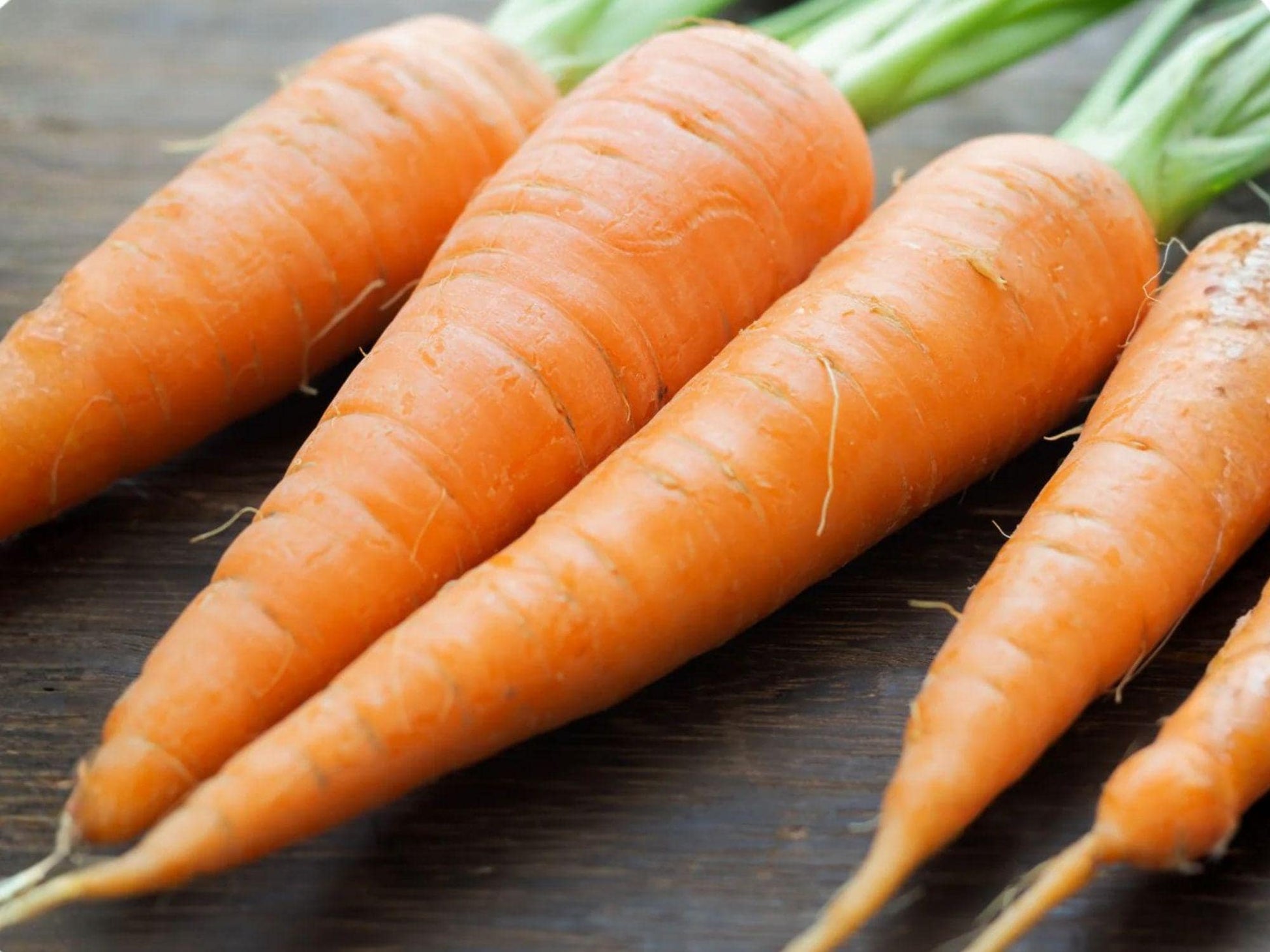 Scarlet Nantes Carrot Seeds – 500 Heirloom Vegetable Seeds for Home Garden, Sweet Coreless Roots, Bright Orange, Open-Pollinated