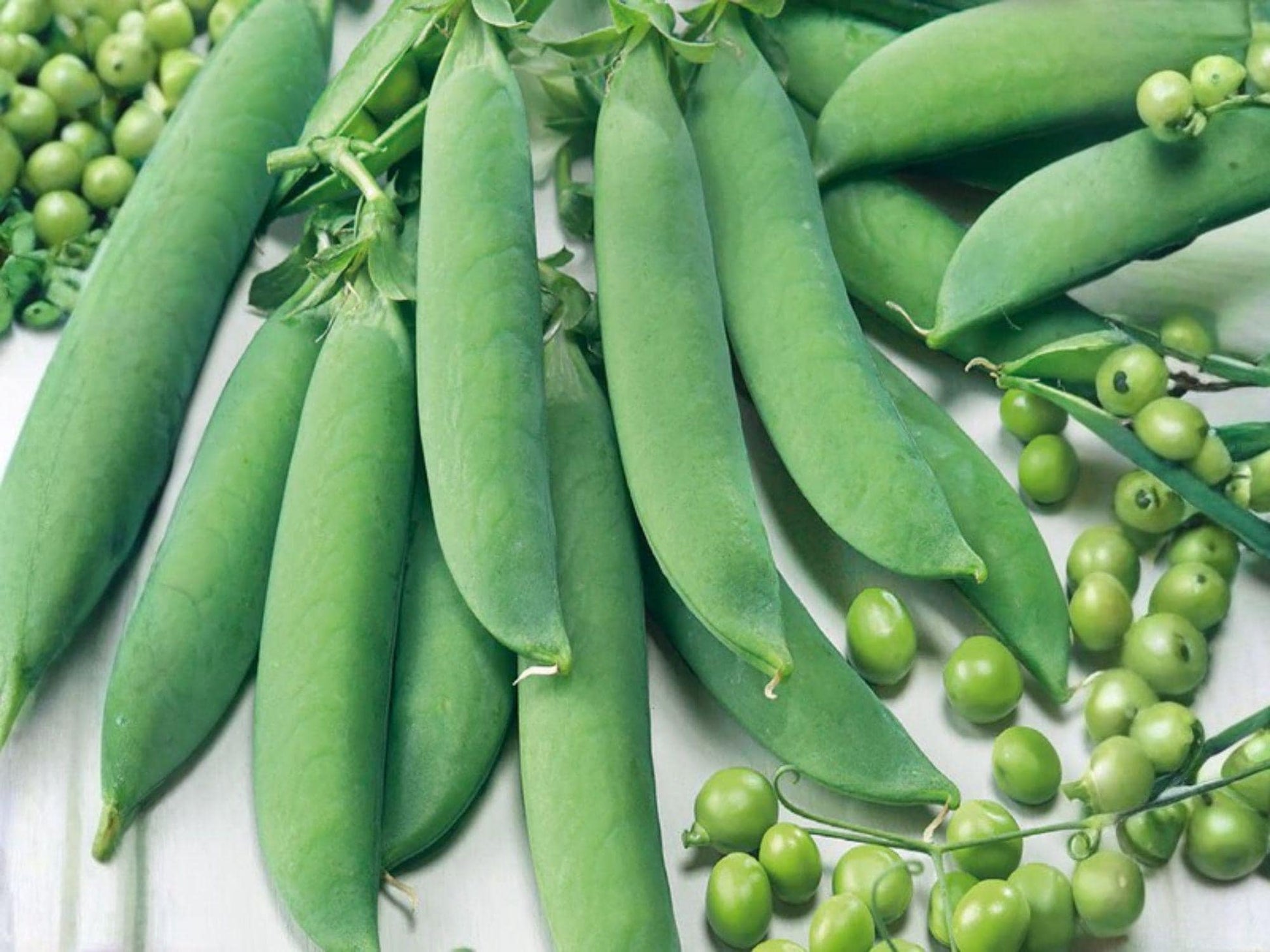 Sugar Snap Pea Seeds – Edible Pod, Sweet & Crunchy, Vining, Cool-Season, 50 Seeds