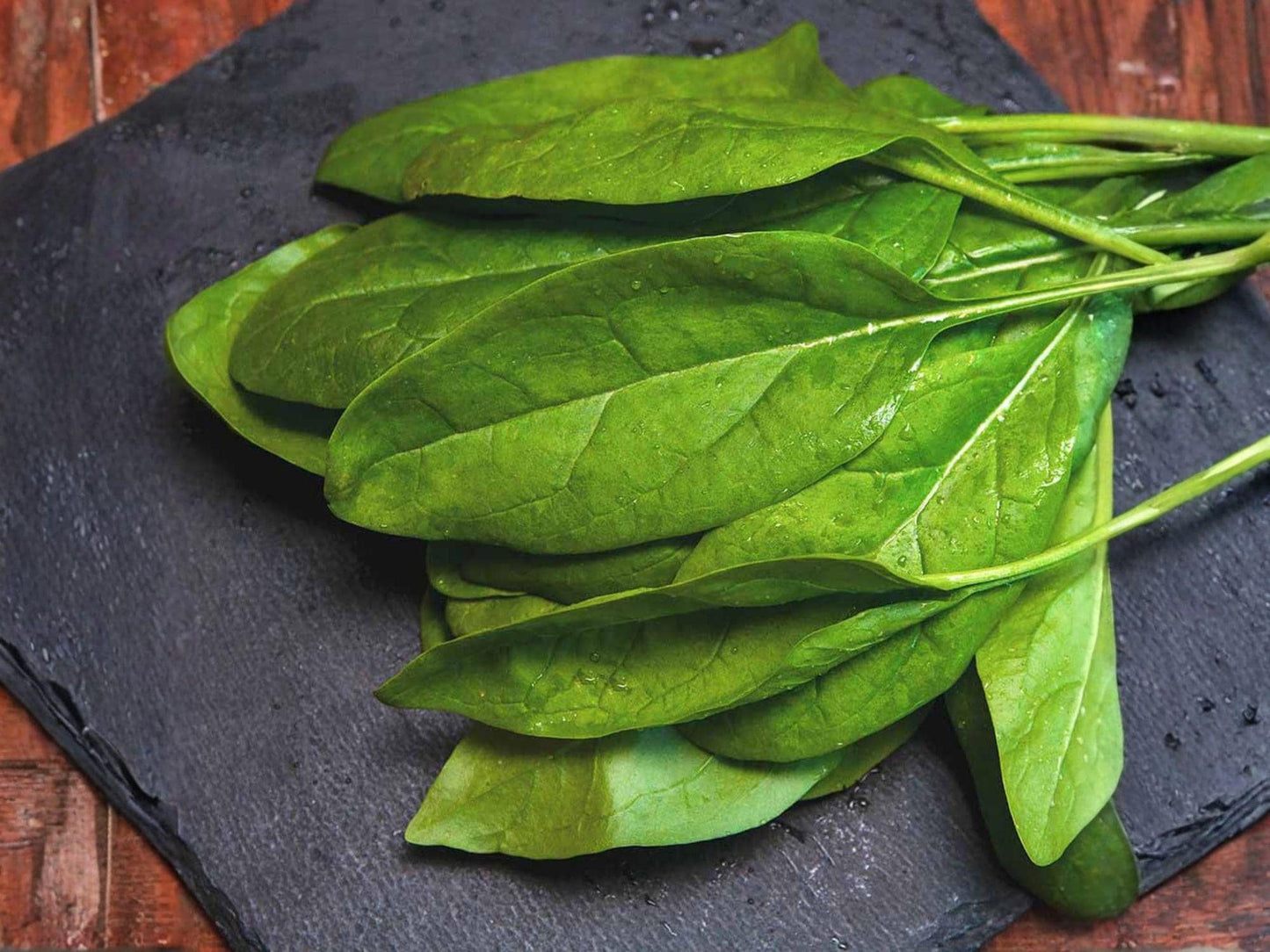 Viroflay Spinach Seeds – Heirloom French Variety, Large Dark Green Leaves, 100 Seeds