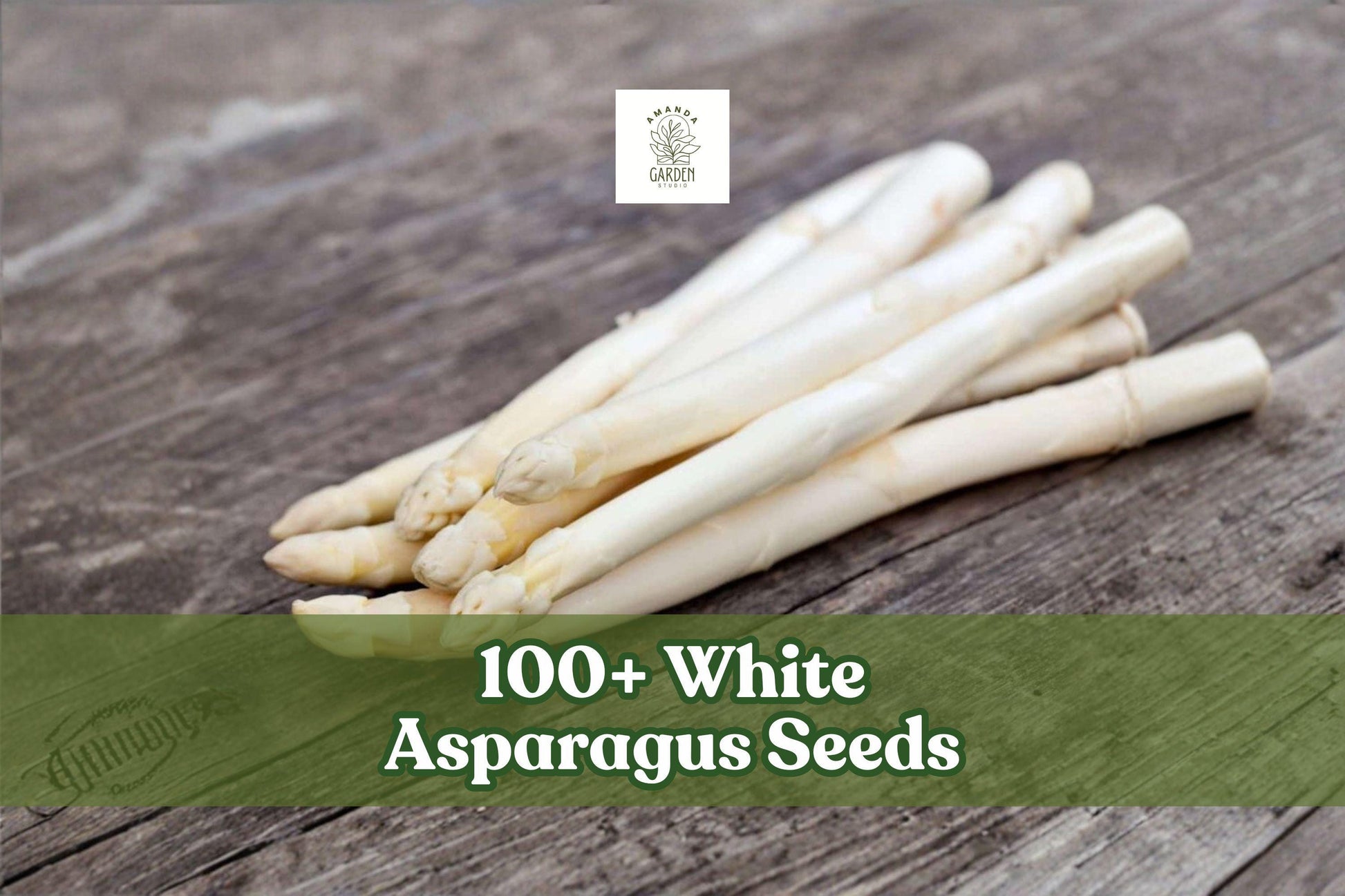 White Asparagus Seeds – 100+ Perennial Vegetable Seeds for Garden Planting | Asparagus officinalis