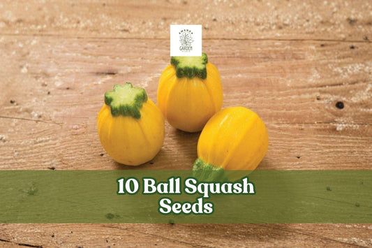 10 Ball Squash Seeds - Exotic Round Vegetable Seeds - Cucurbita spp. for Garden Beds & Outdoor Growing