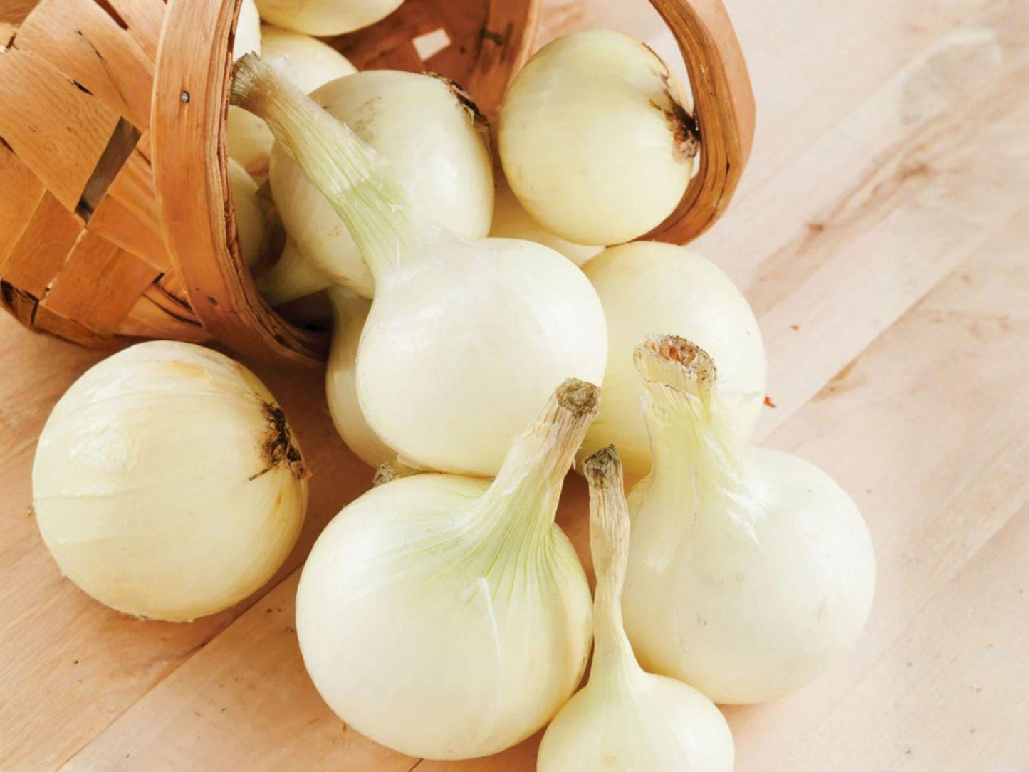 Blanco Duro Onion Seeds – 50 Heirloom White Storage Onion, Strong Flavor, Long-Storage Bulb, Open-Pollinated, Full Sun