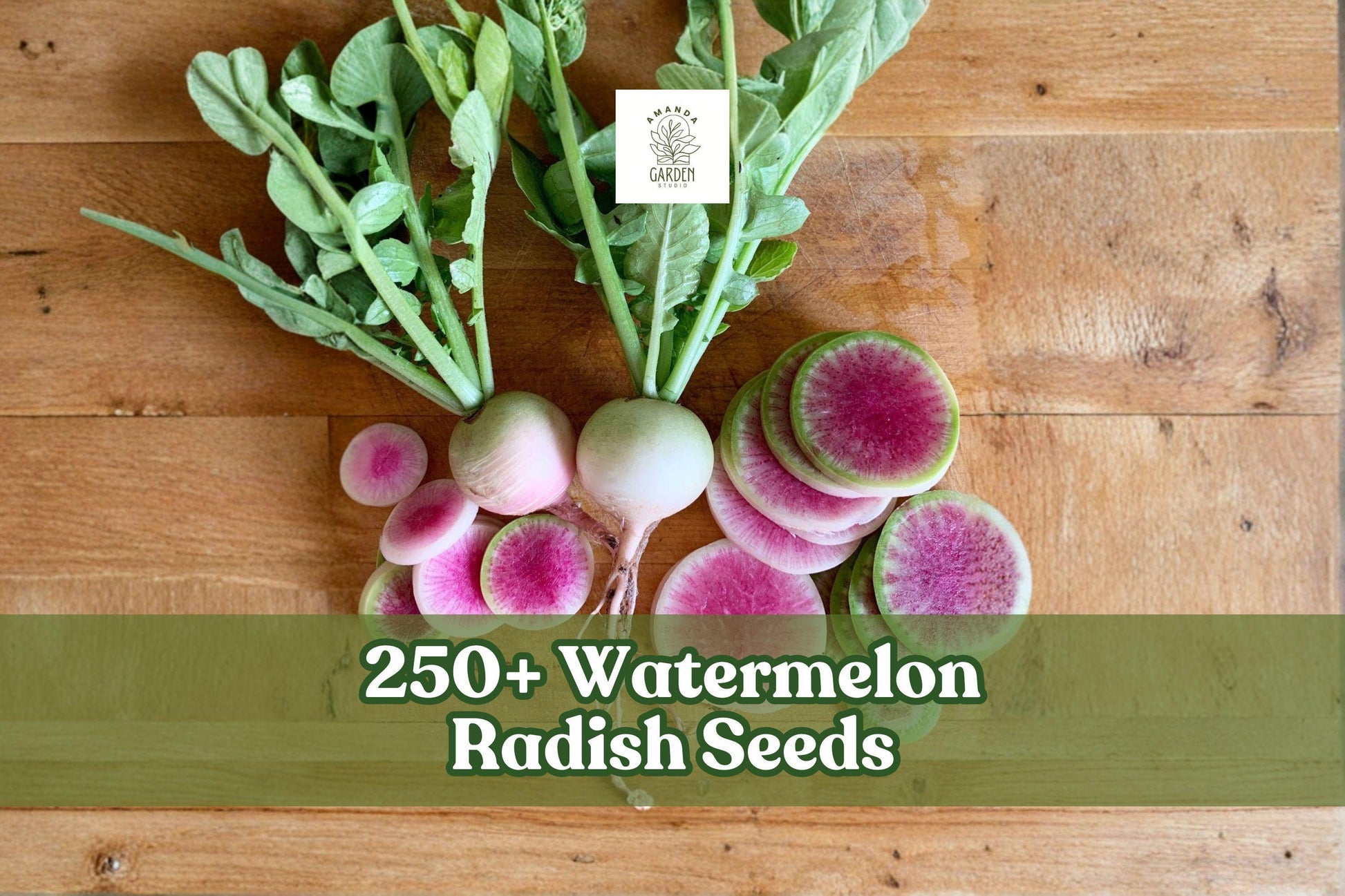 Watermelon Radish Seeds – 250+ Heirloom Raphanus sativus for Home Gardening, Container, and Raised Bed Planting