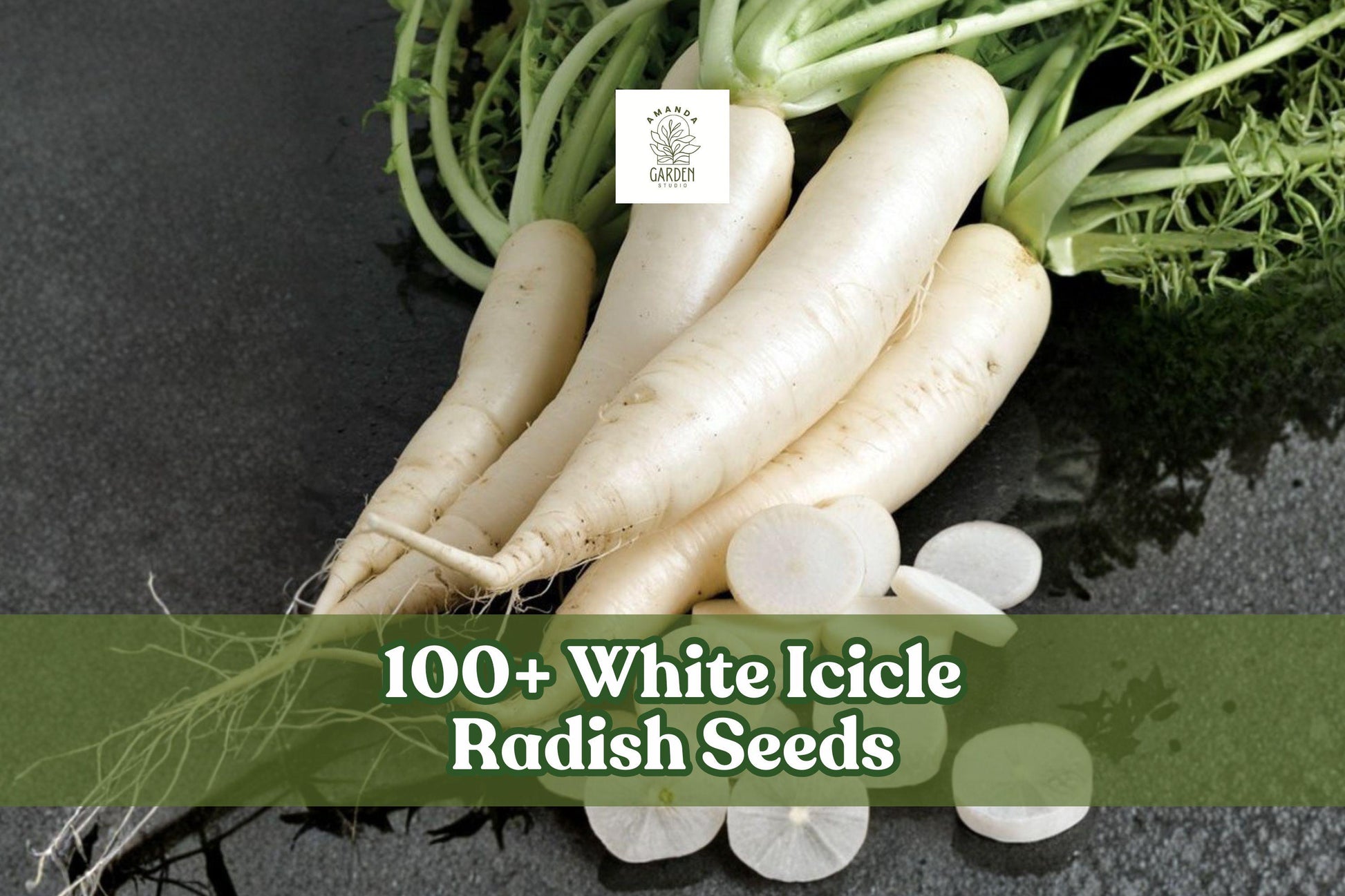 White Icicle Radish Seeds – Non-GMO Heirloom Raphanus sativus for Home Garden, Raised Beds, Containers