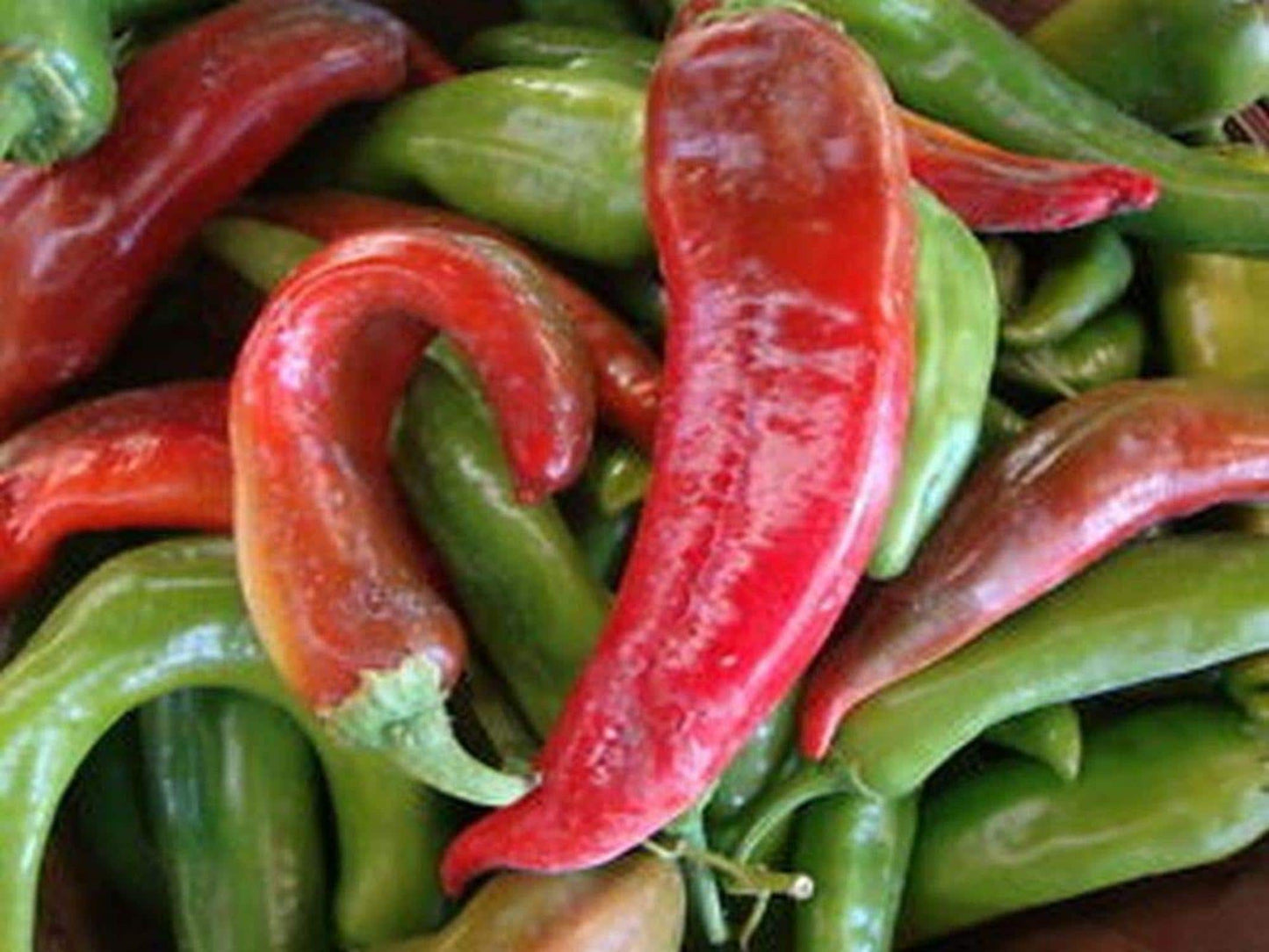 Ms. Junie Hot Pepper Seeds – Spicy Heirloom Chili, 50 Seeds, Vegetable, Capsicum annuum