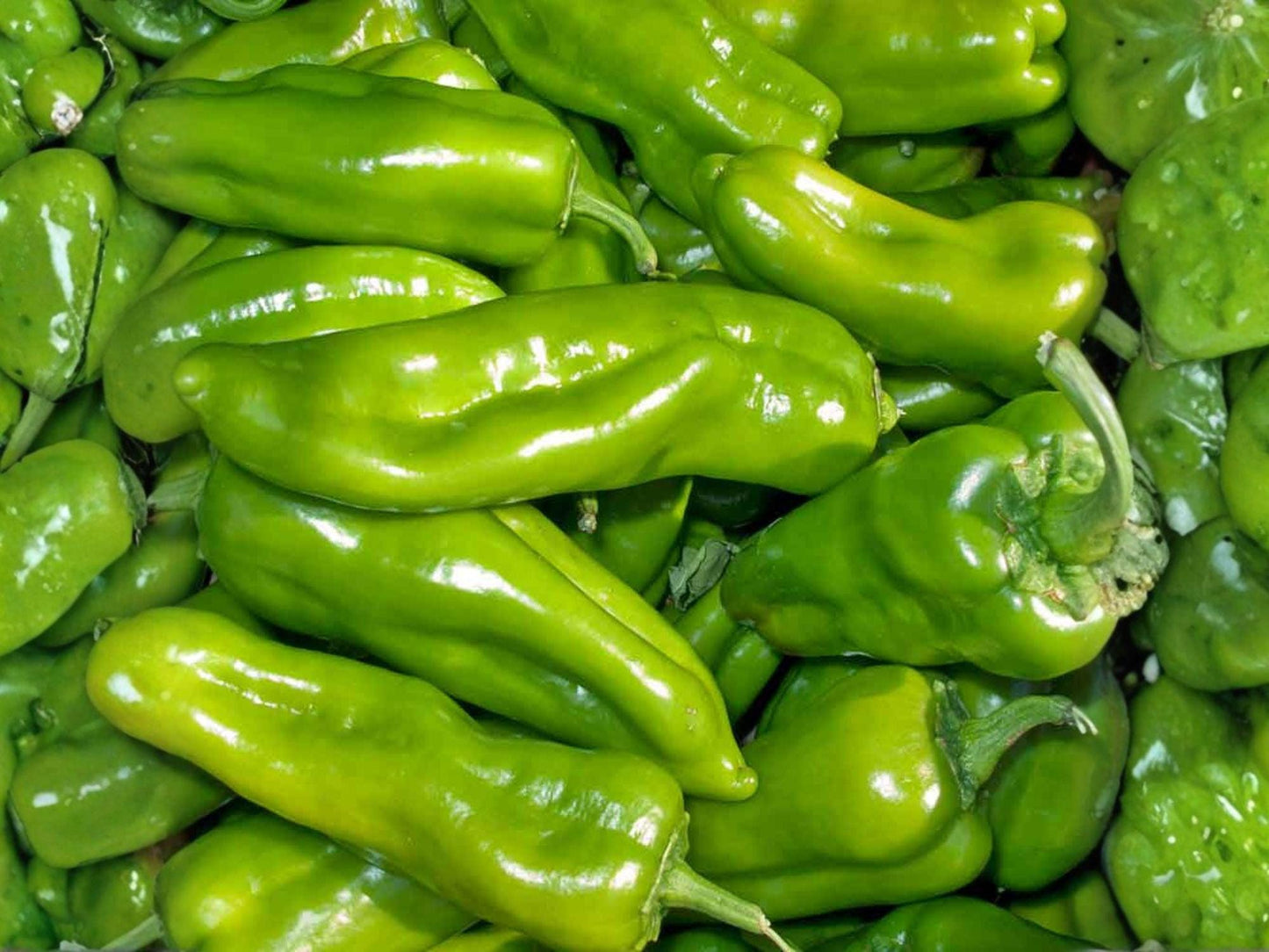 Cubanelle Sweet Pepper Seeds – Heirloom Frying Pepper, Mild, Thin-Walled, 25 Seeds