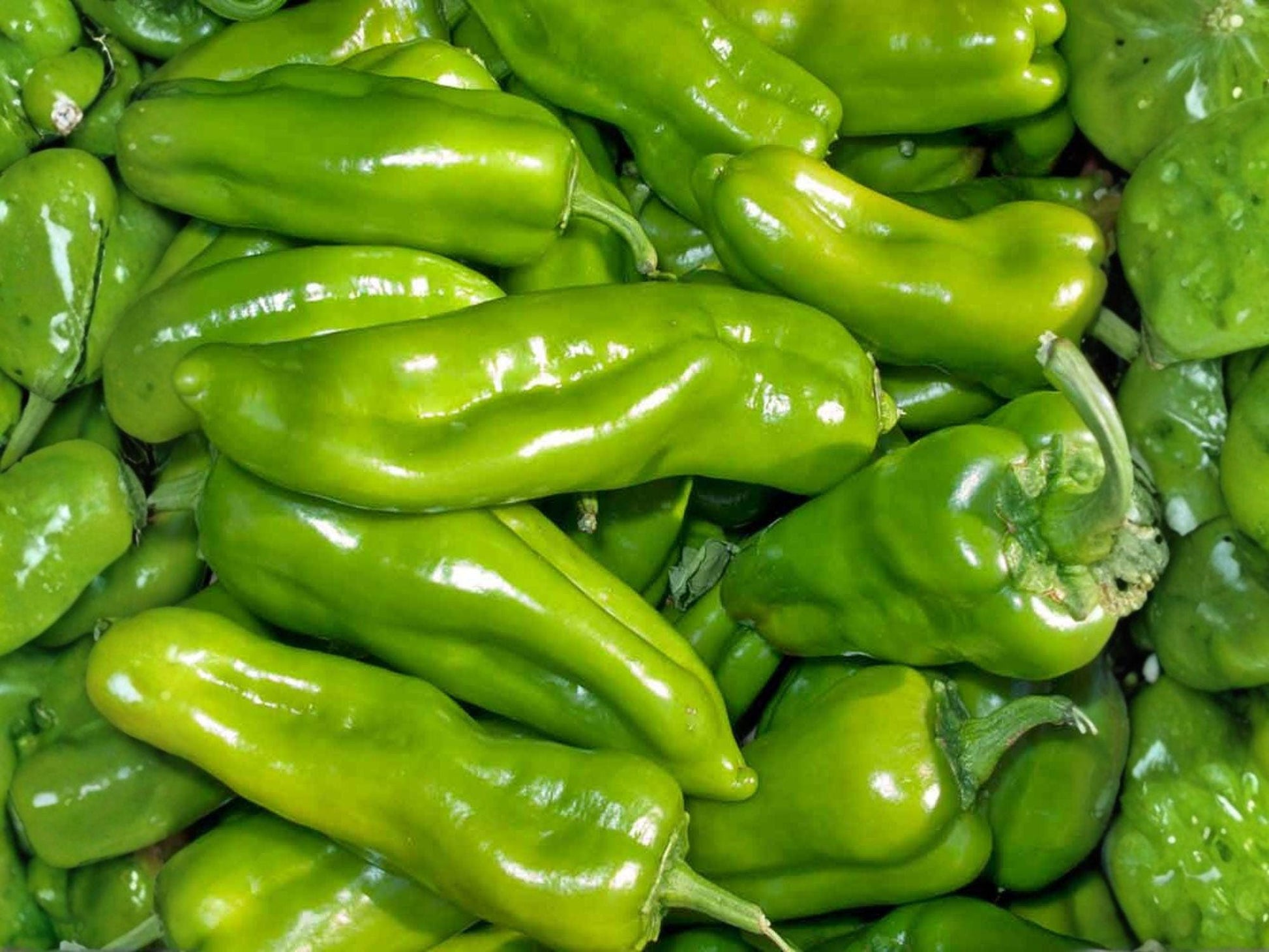 Cubanelle Sweet Pepper Seeds – Heirloom Frying Pepper, Mild, Thin-Walled, 25 Seeds
