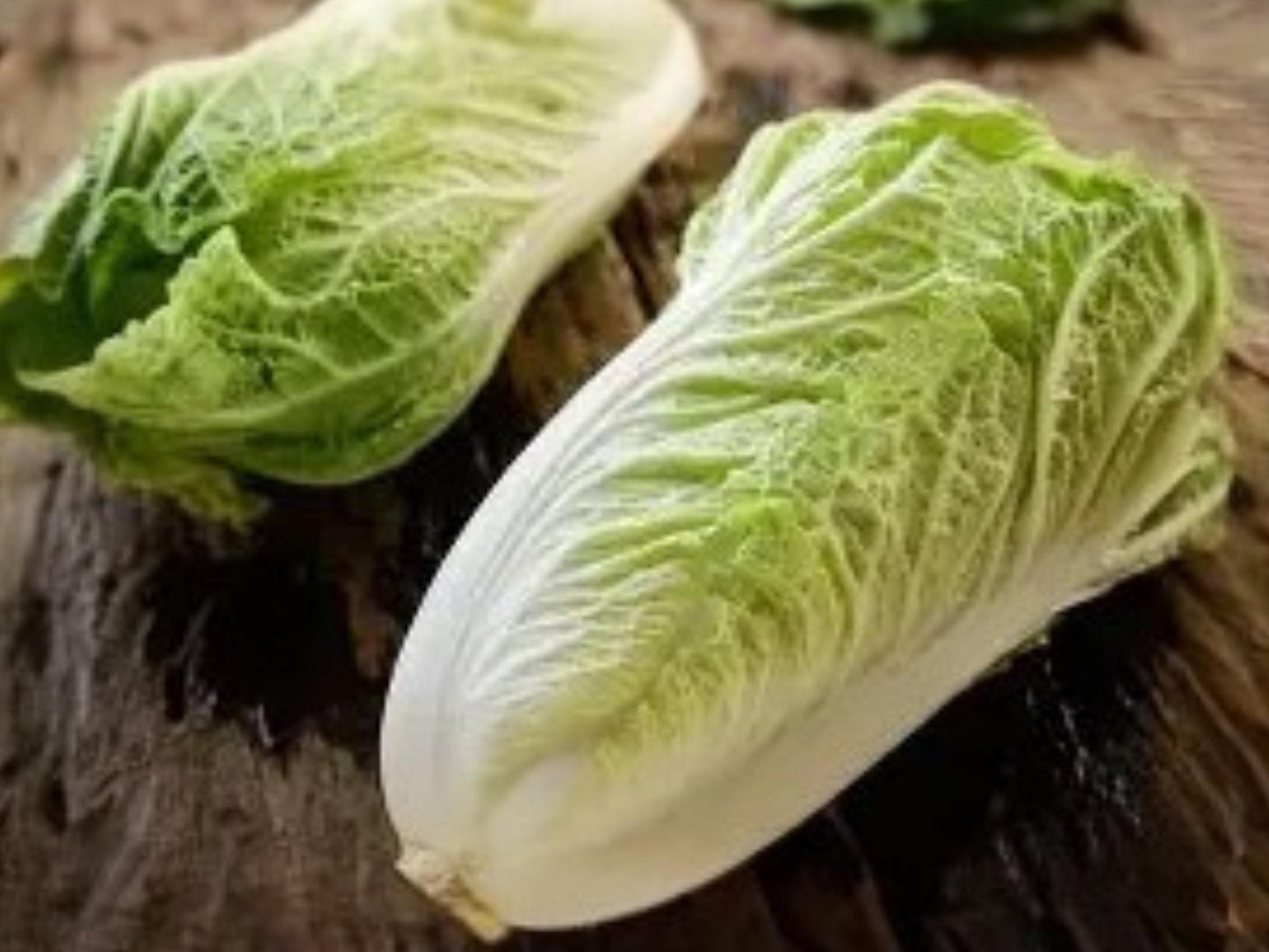 Kogane Chinese Cabbage Seeds – Napa Asian Vegetable with Tender Pale Green Leaves and White Ribs, 500 Seeds