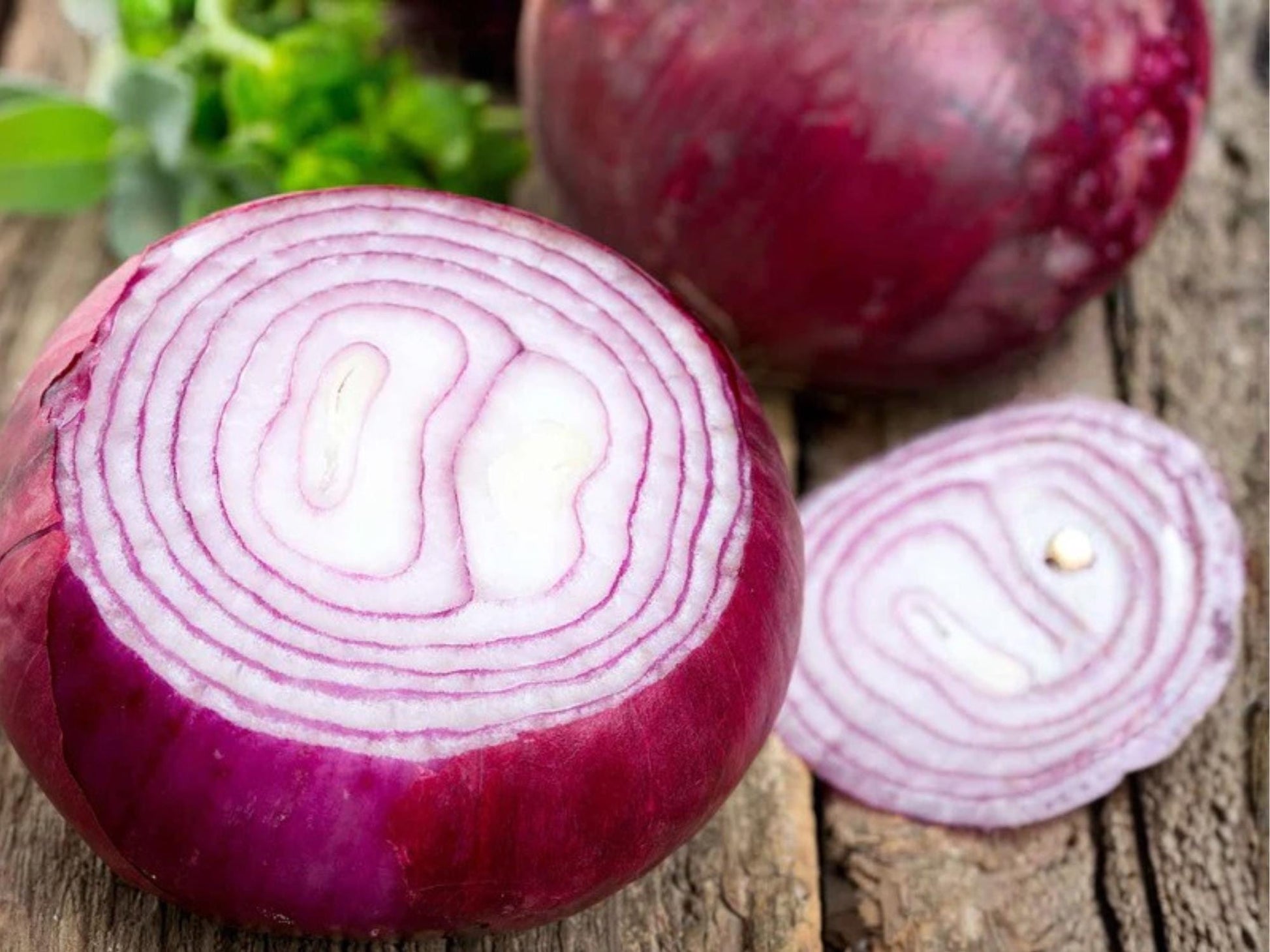 Red Burgundy Onion Seeds – Short Day, Sweet Red Bulbs, 50 Non-GMO Seeds, Allium cepa