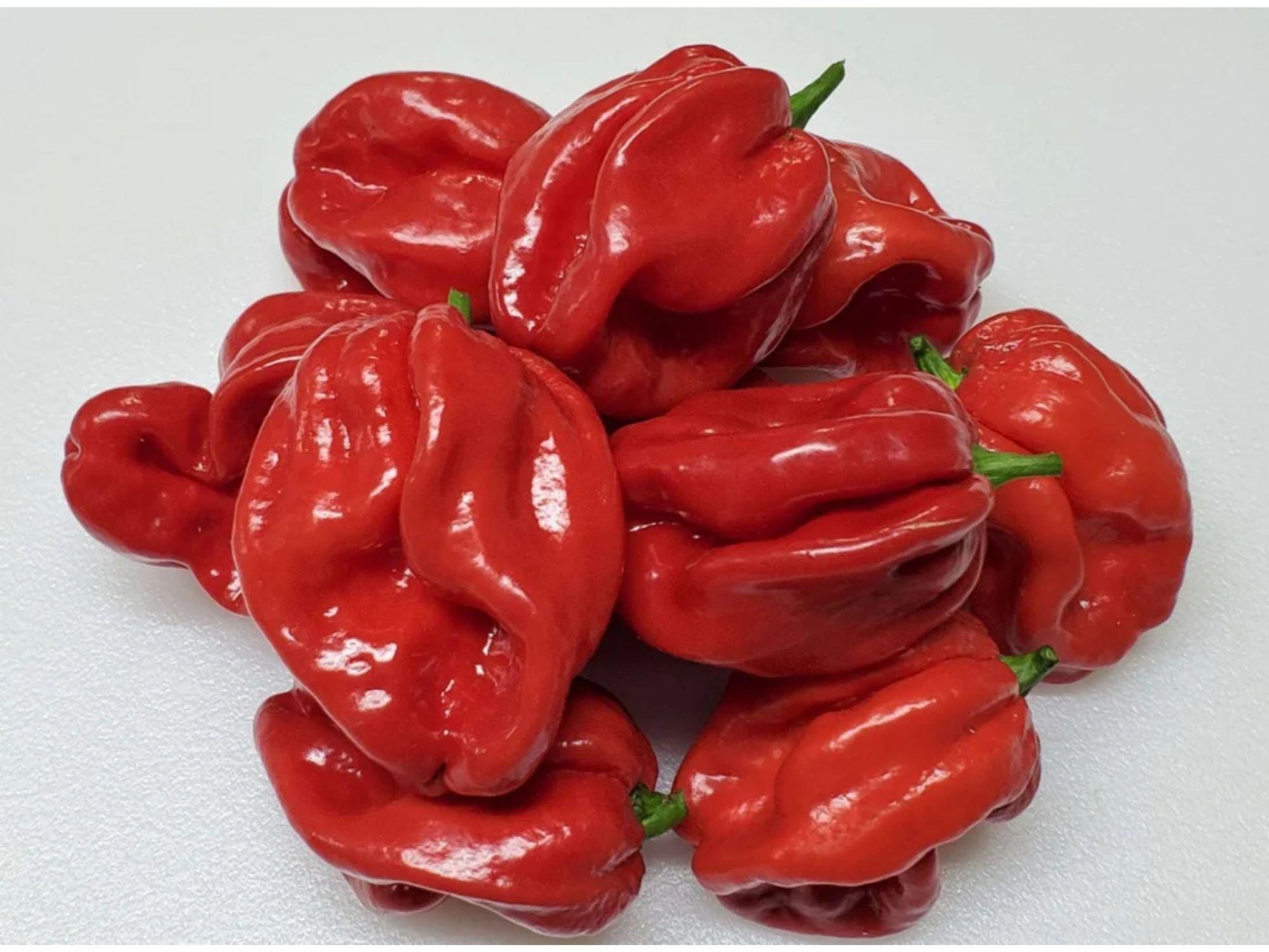 Red Scotch Bonnet Pepper Seeds – Heirloom Caribbean Chili, Extra Hot, Fruity Flavor, Bonnet-Shaped Pods, 25 Seeds