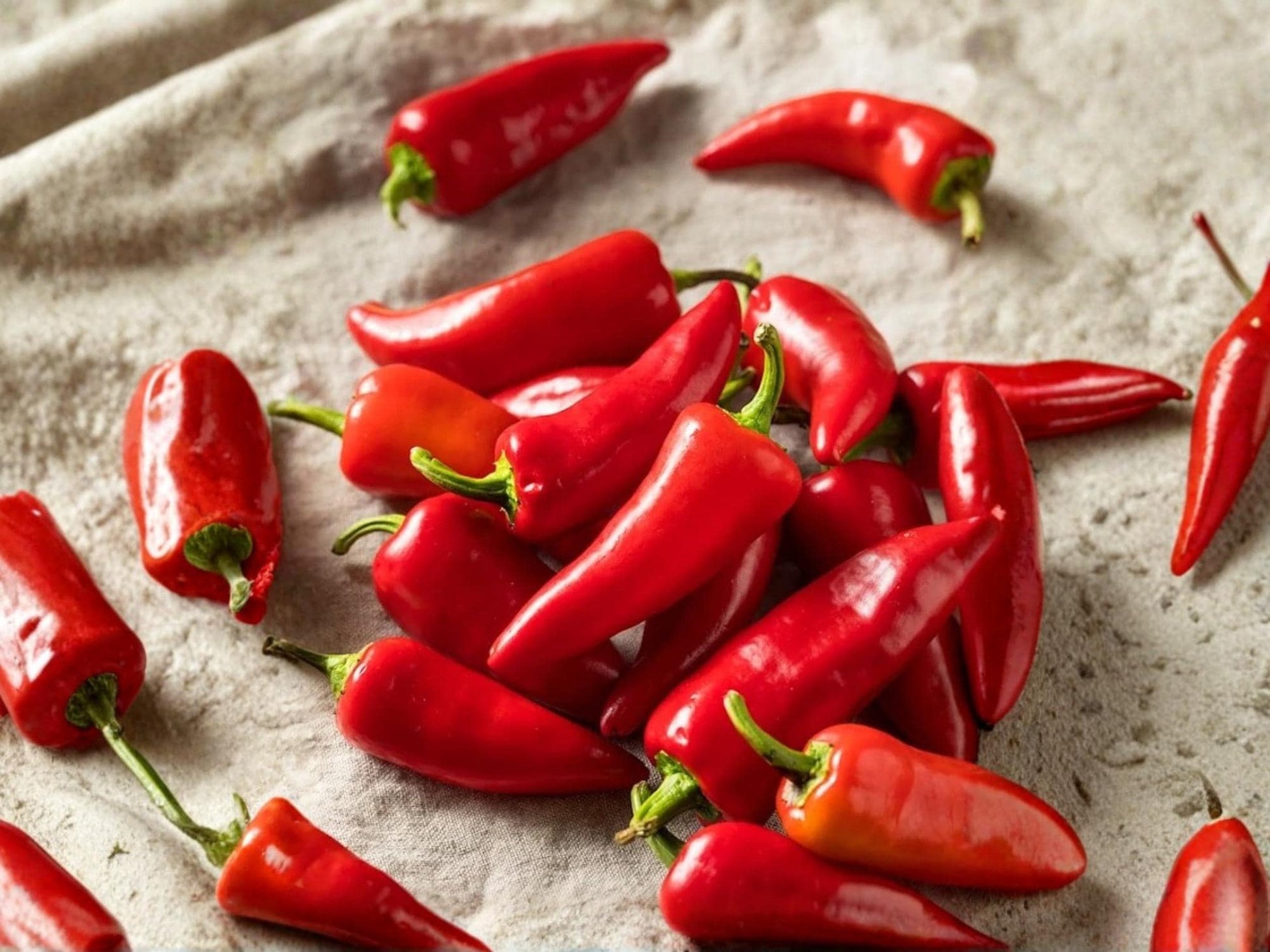 Fresno Chile Pepper Seeds – Medium Hot Red Chili – Heirloom Garden Vegetable – 25 Seeds