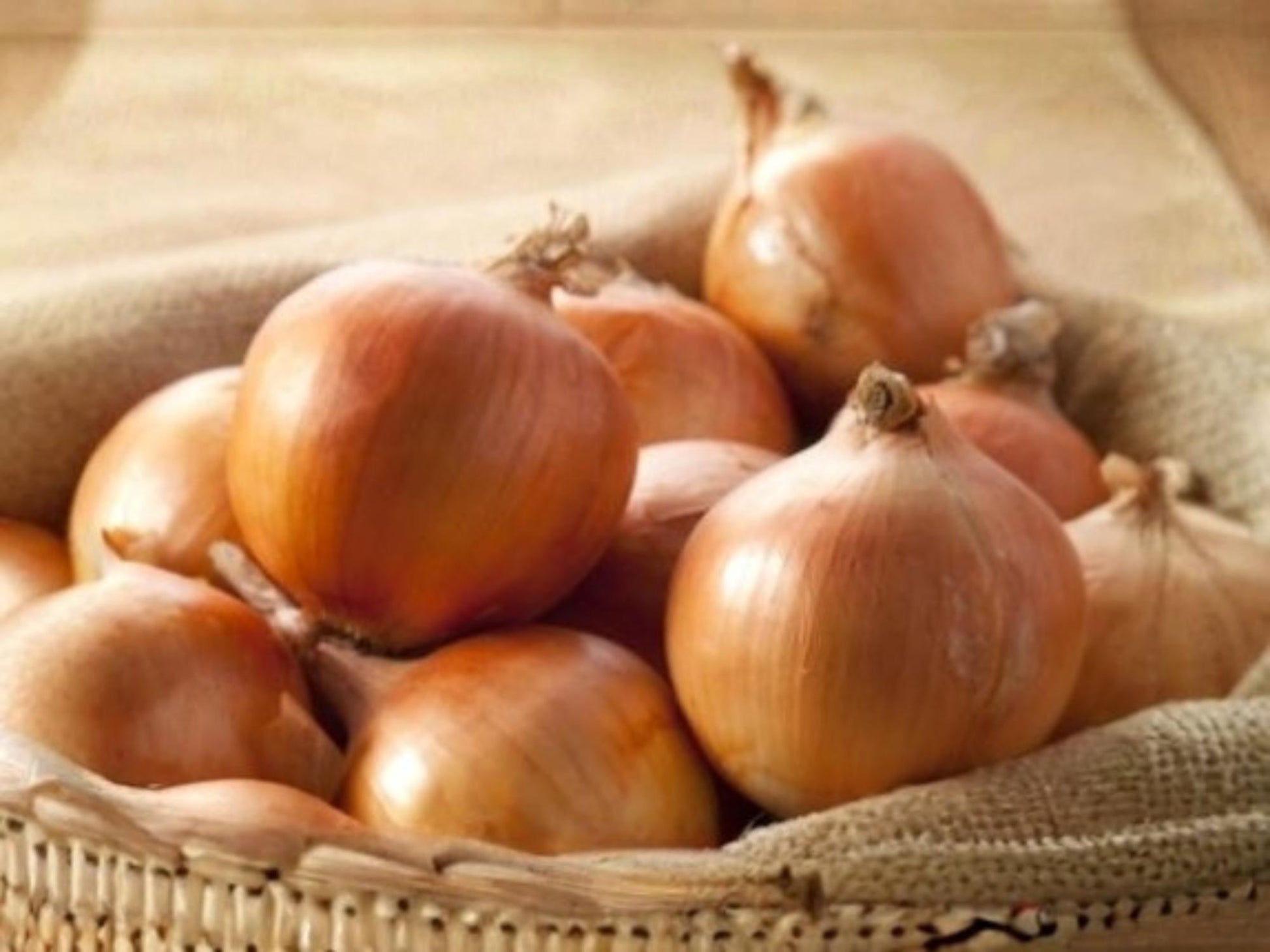 Burrell’s Yellow Valencia Onion Seeds – Heirloom Bulb Onion, Yellow, Storage, Full Sun, 50 Seeds