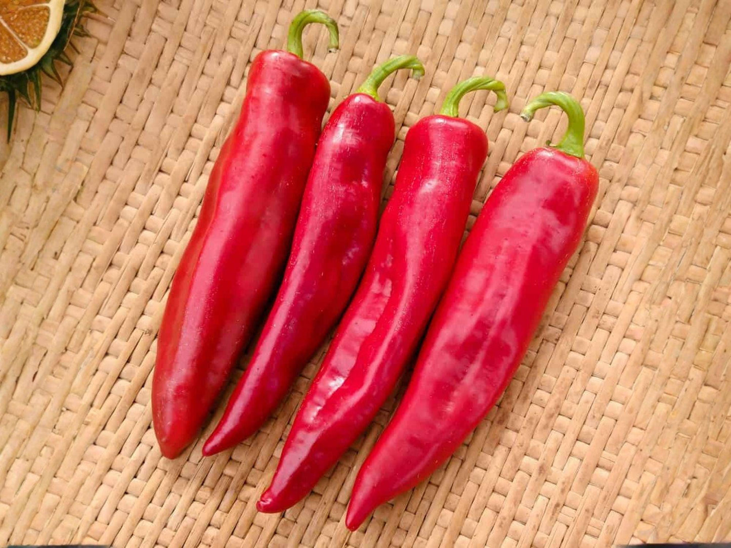 Sonora Mild Hot Pepper Seeds – 25 Heirloom Chili Vegetable Seeds for Salsas, Roasting, and Cooking