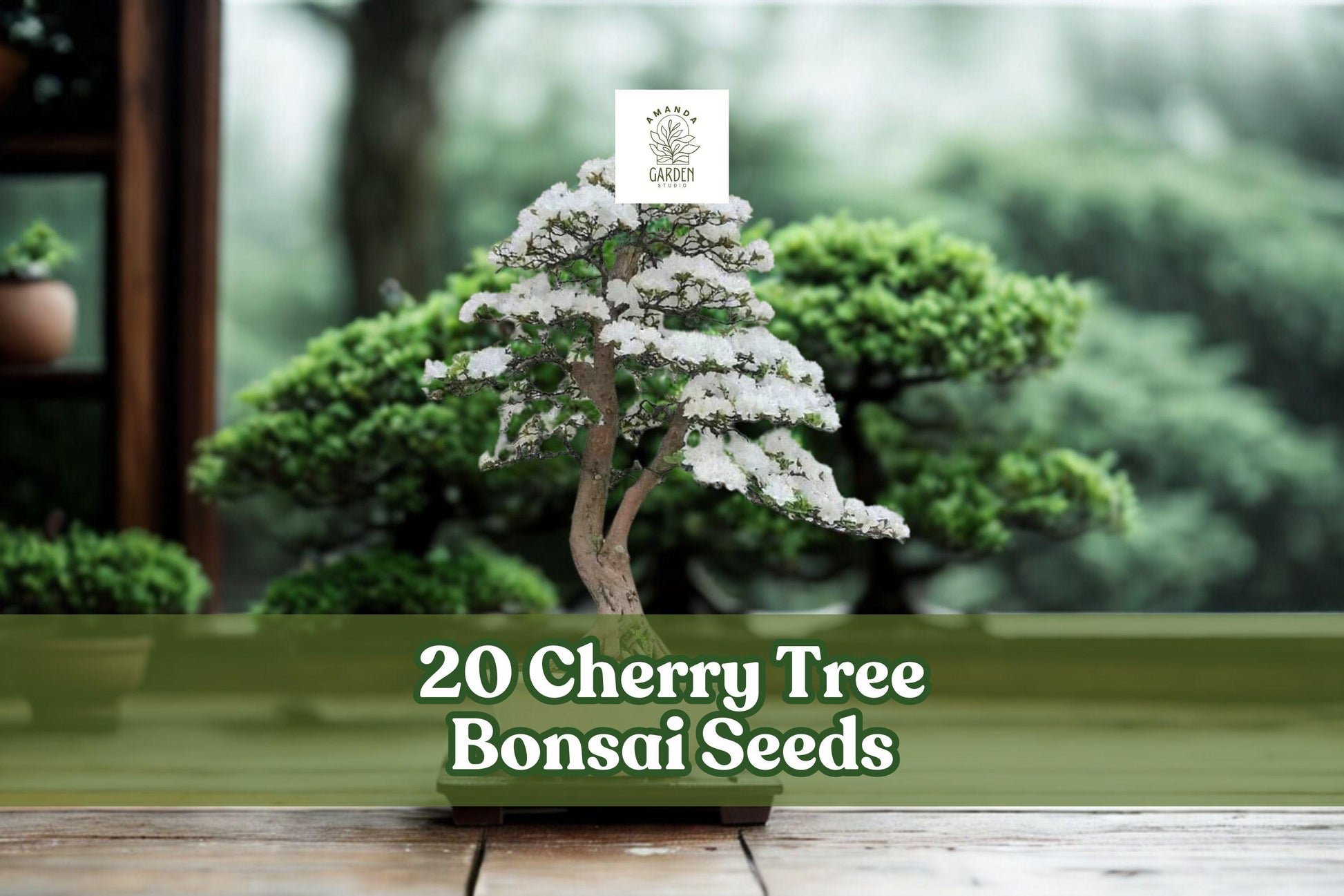 Cherry Tree Bonsai Seeds - Ornamental Prunus spp. for Bonsai, Container, Garden Planting, Full Sun, Perennial
