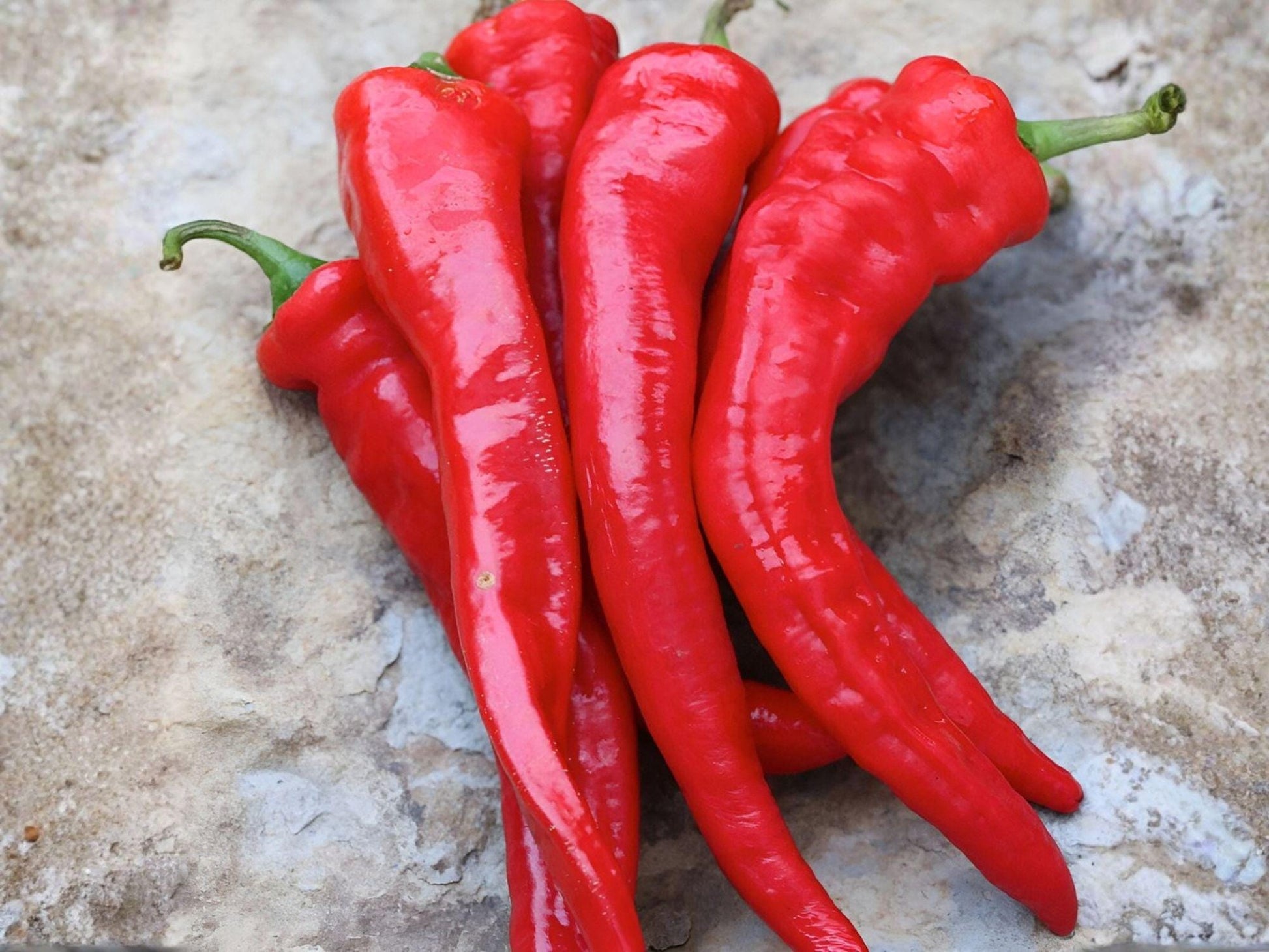 Hatch Rattlesnake Pepper Seeds – Hot Southwestern Chili, 25 Seeds, Green to Red, Vegetable, Capsicum annuum
