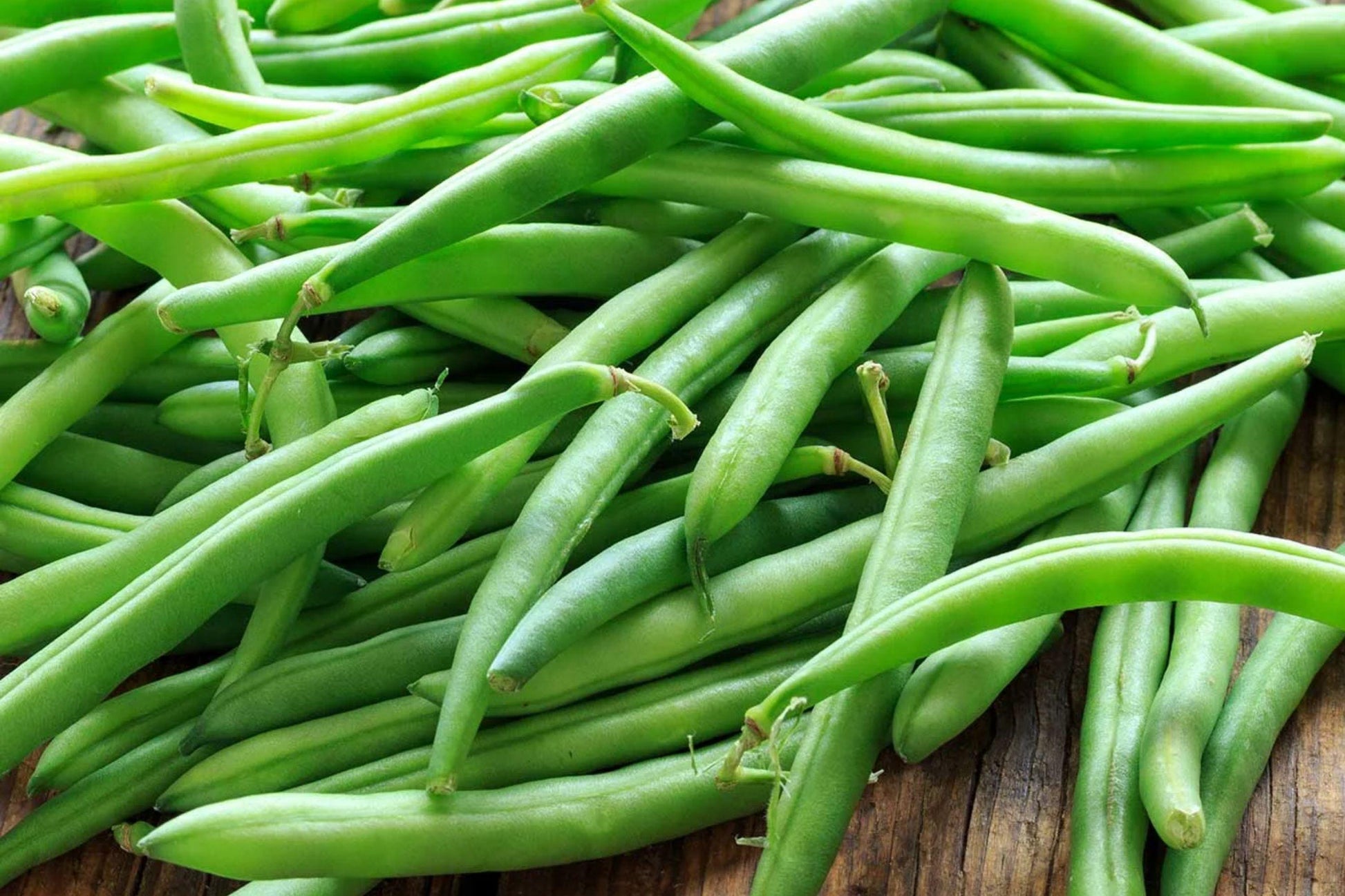 Provider Green Bean Seeds - 25 Heirloom Snap Bush Beans for High Yield, Tender Stringless Pods, Early Maturity, Compact Plant, Scientific Name Phaseolus vulgaris