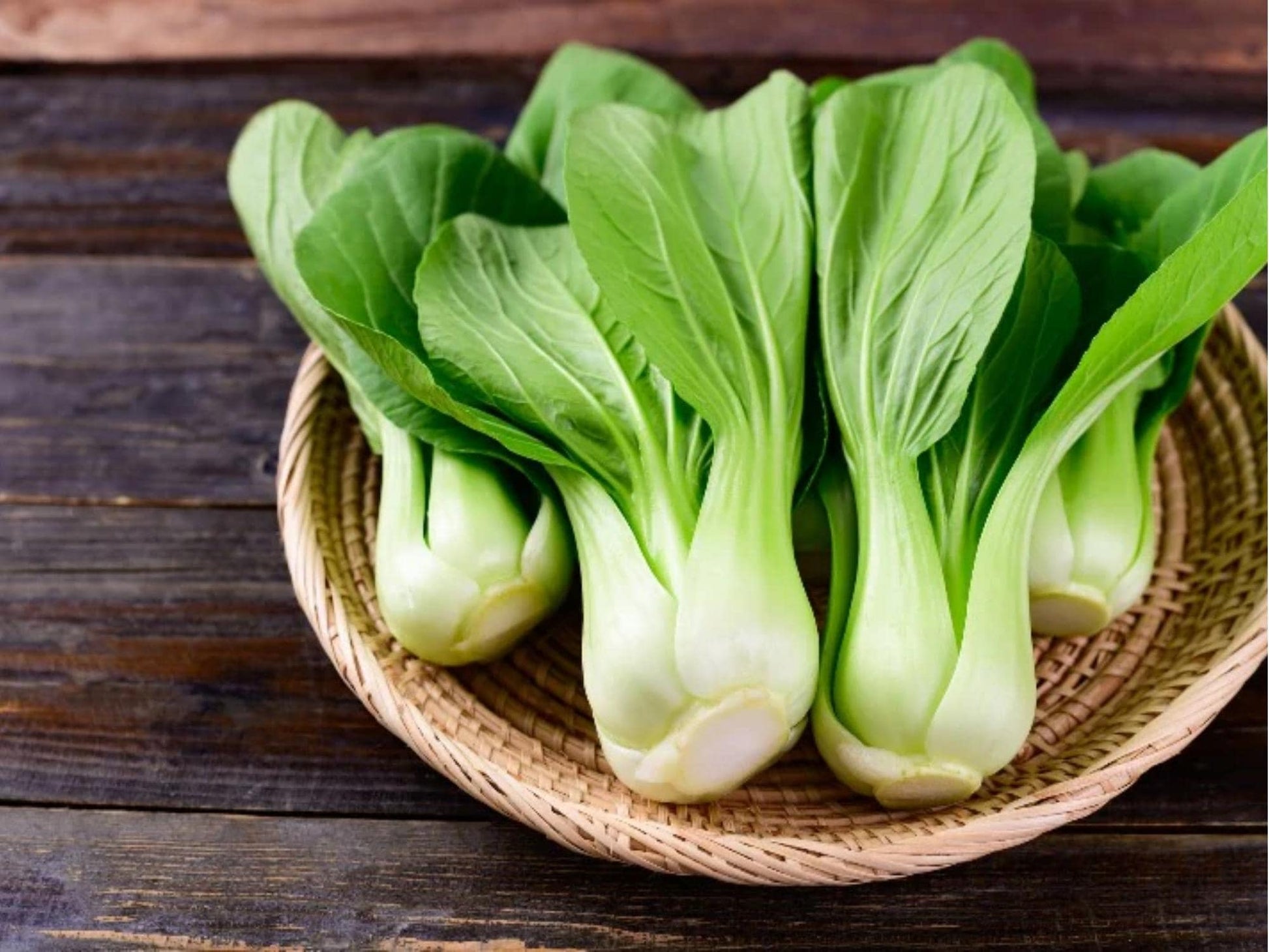 Dwarf Pak Choi Seeds | Baby Bok Choy Asian Green | Non-GMO Brassica rapa subsp. chinensis | Compact, Fast-Growing Vegetable