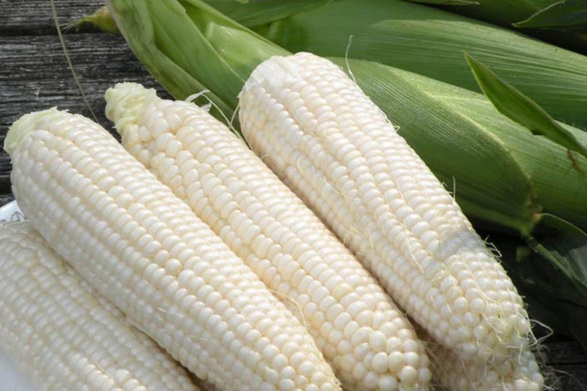 Silver Queen Corn Seeds 50 Pack – Non-GMO Heirloom Sweet Corn Hybrid for Home Garden, White Sweet Corn, High Yield, Tender Kernels