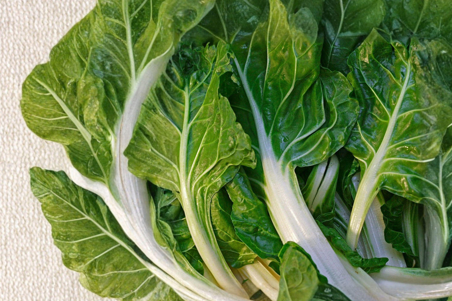 Heirloom Swiss Chard Seeds – Fordhook Variety, High Yield Leafy Green, Cool-Season Vegetable, 50 Seeds