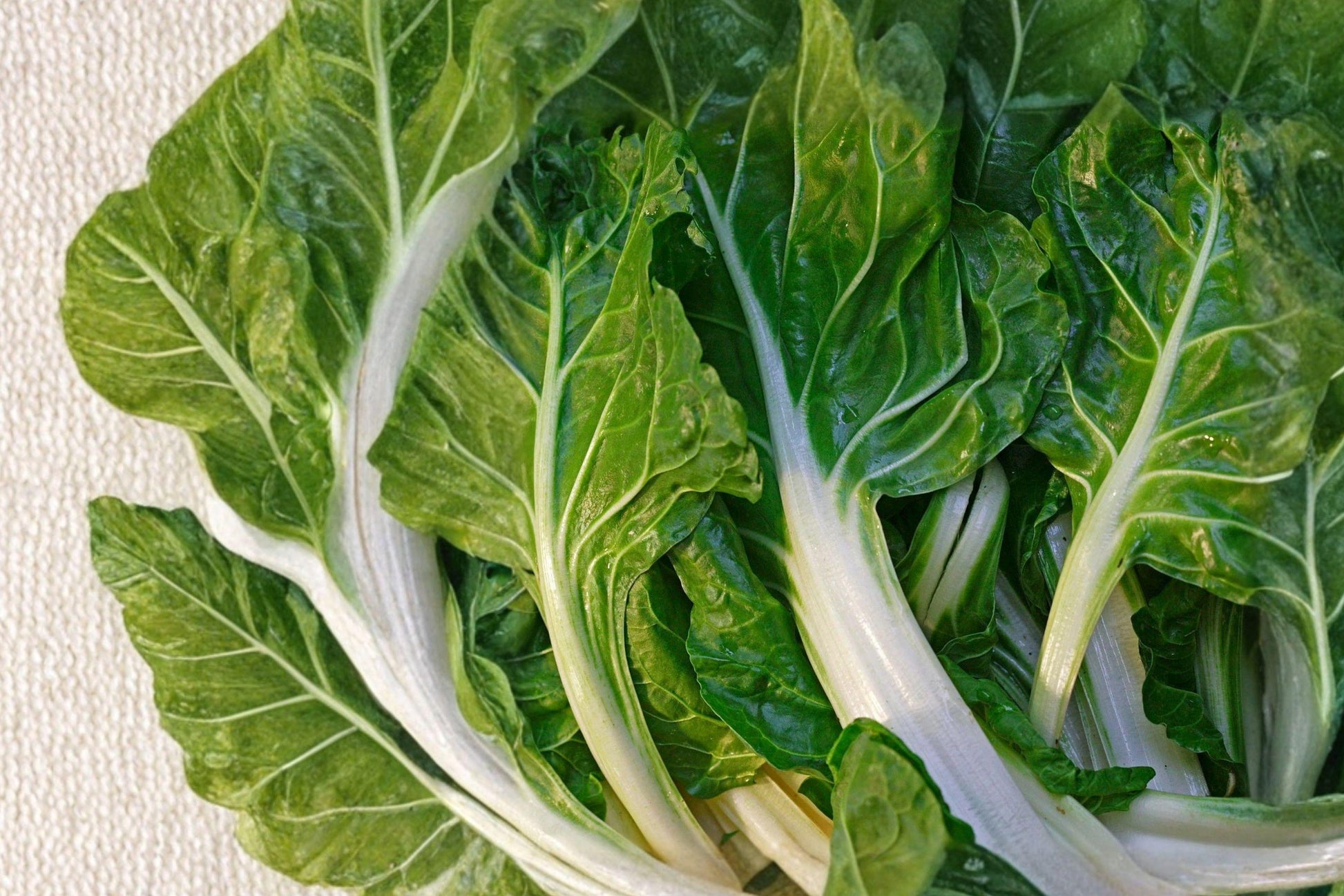 Heirloom Swiss Chard Seeds – Fordhook Variety, High Yield Leafy Green, Cool-Season Vegetable, 50 Seeds