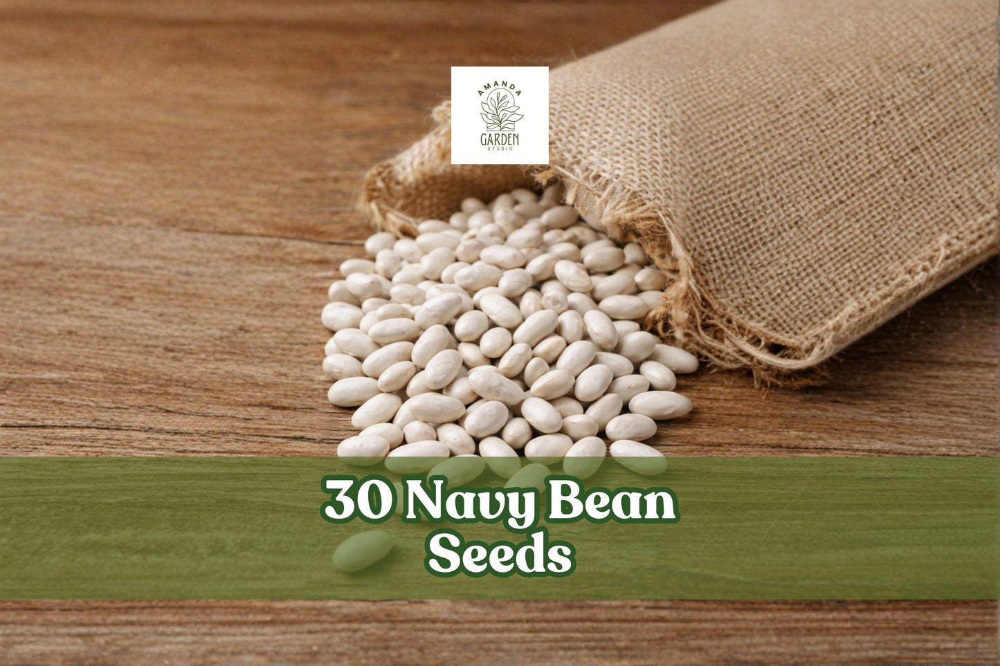 30 Navy Bean Seeds – White Kidney Bean for Planting, Bush-Style Phaseolus vulgaris, Home Garden, Full Sun, Well-Draining Soil