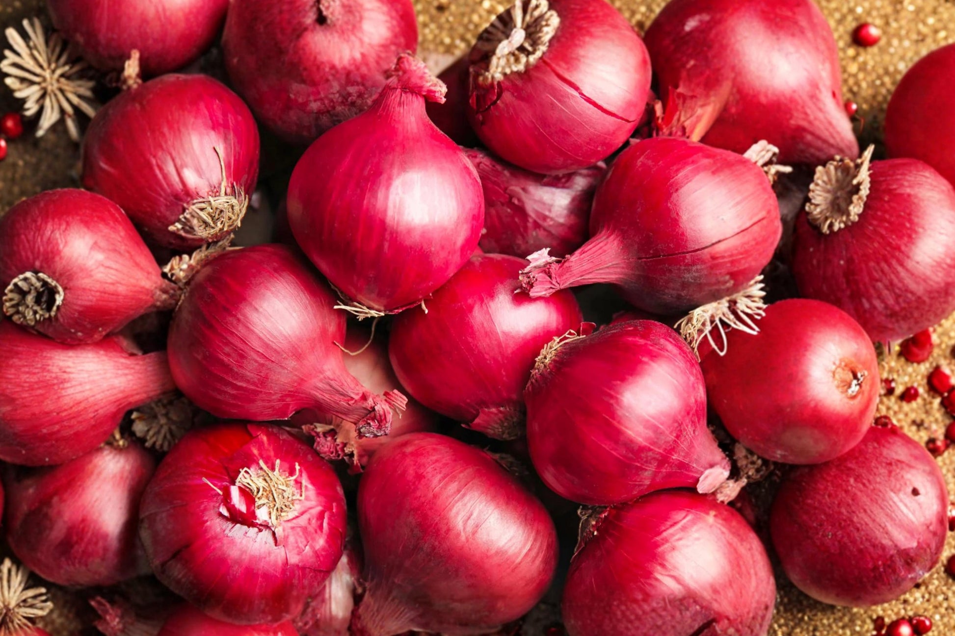Red Grano Onion Seeds – Heirloom Short Day Sweet Mild Vegetable Garden Bulbs for Home Gardens