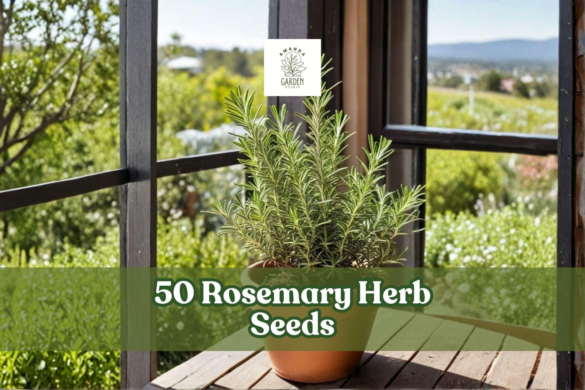 50 Rosemary Herb Seeds for Planting, Salvia rosmarinus, Evergreen Herb, Culinary & Ornamental Garden Plant