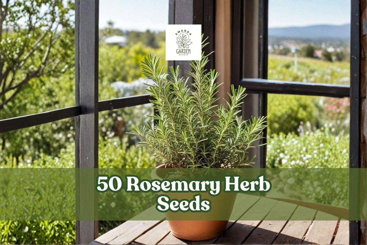 Rosemary Herb Seeds for Planting, Salvia rosmarinus, Evergreen Aromatic Foliage, Culinary & Ornamental Garden Seeds