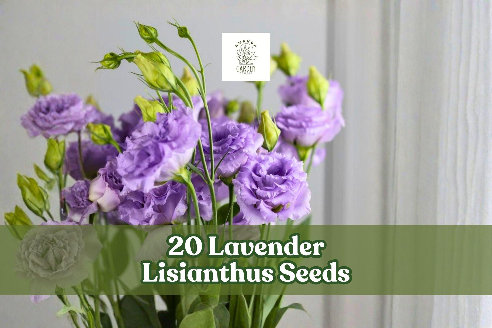 20 Lavender Lisianthus Seeds – Eustoma grandiflorum Flower Seeds for Garden Beds & Cut Flowers