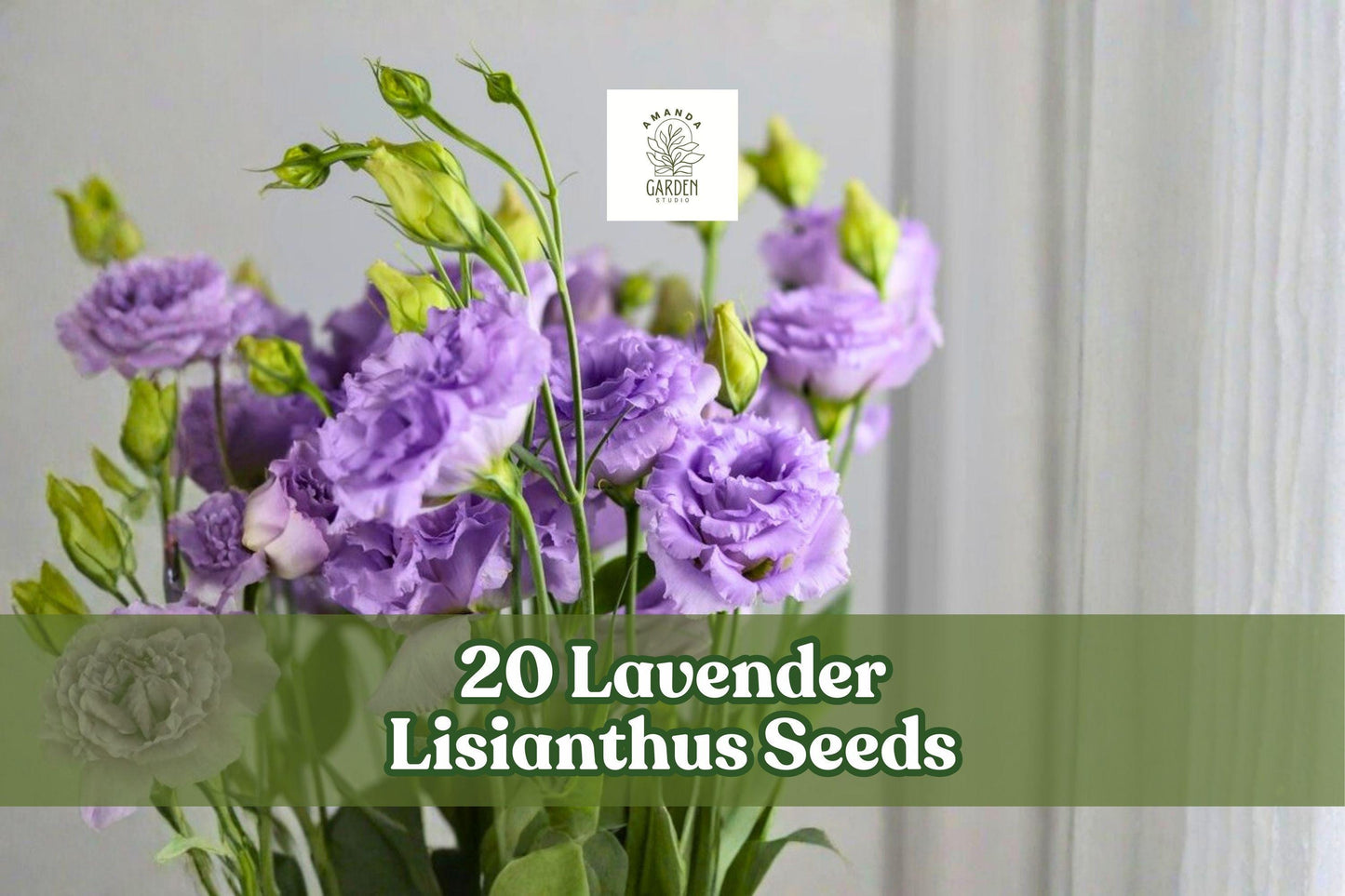 20 Lavender Lisianthus Seeds – Eustoma grandiflorum, Ornamental Flower for Garden Beds & Cut Flowers