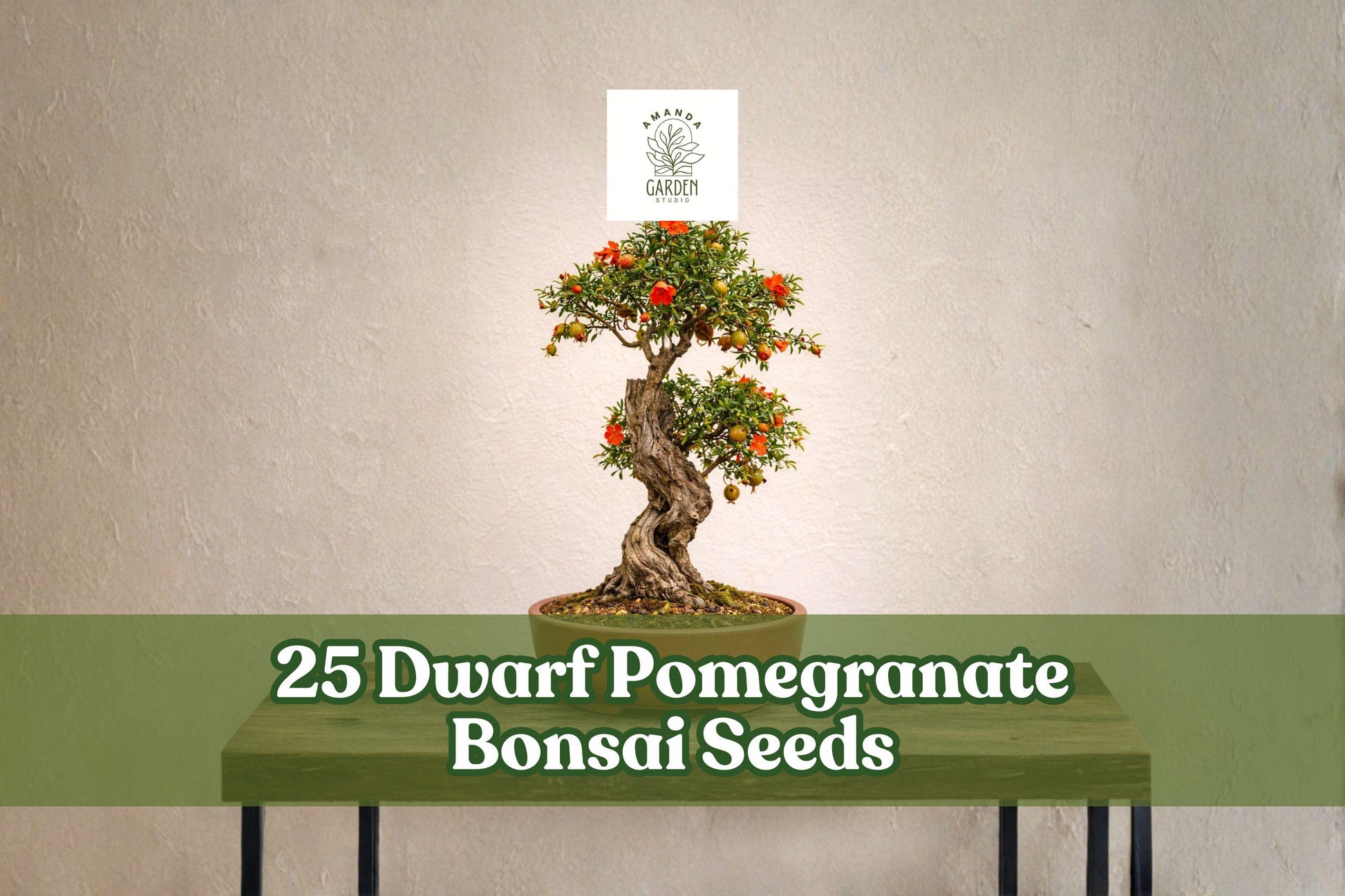 25 Dwarf Pomegranate Seeds for Bonsai – Fruit-bearing Punica granatum Miniature Tree for Container Gardening