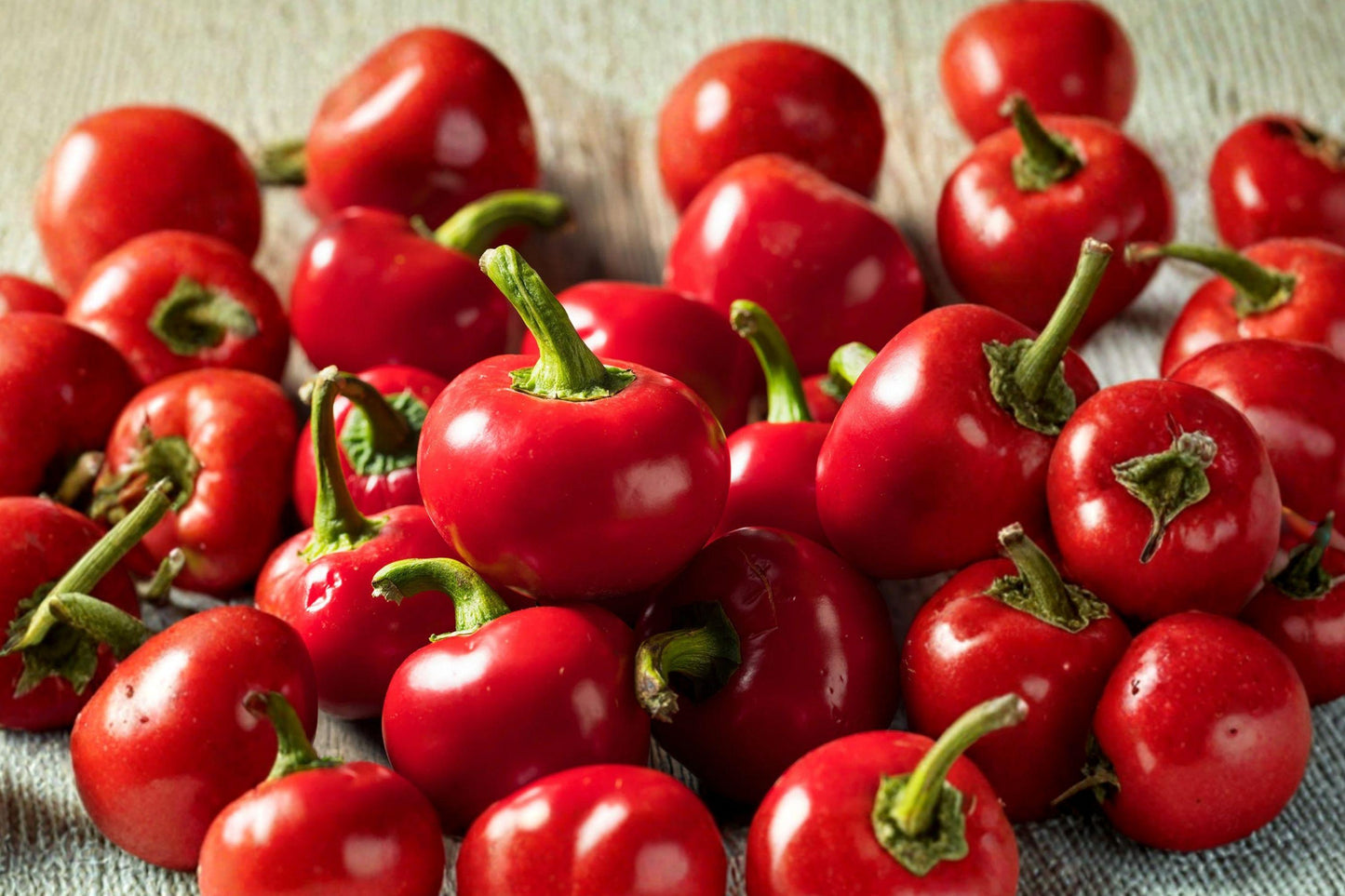 Heirloom Cherry Hot Pepper Seeds – 25 Round Red Chili Seeds for Stuffing and Pickling – Large Cherry Peppers, Capsicum annuum