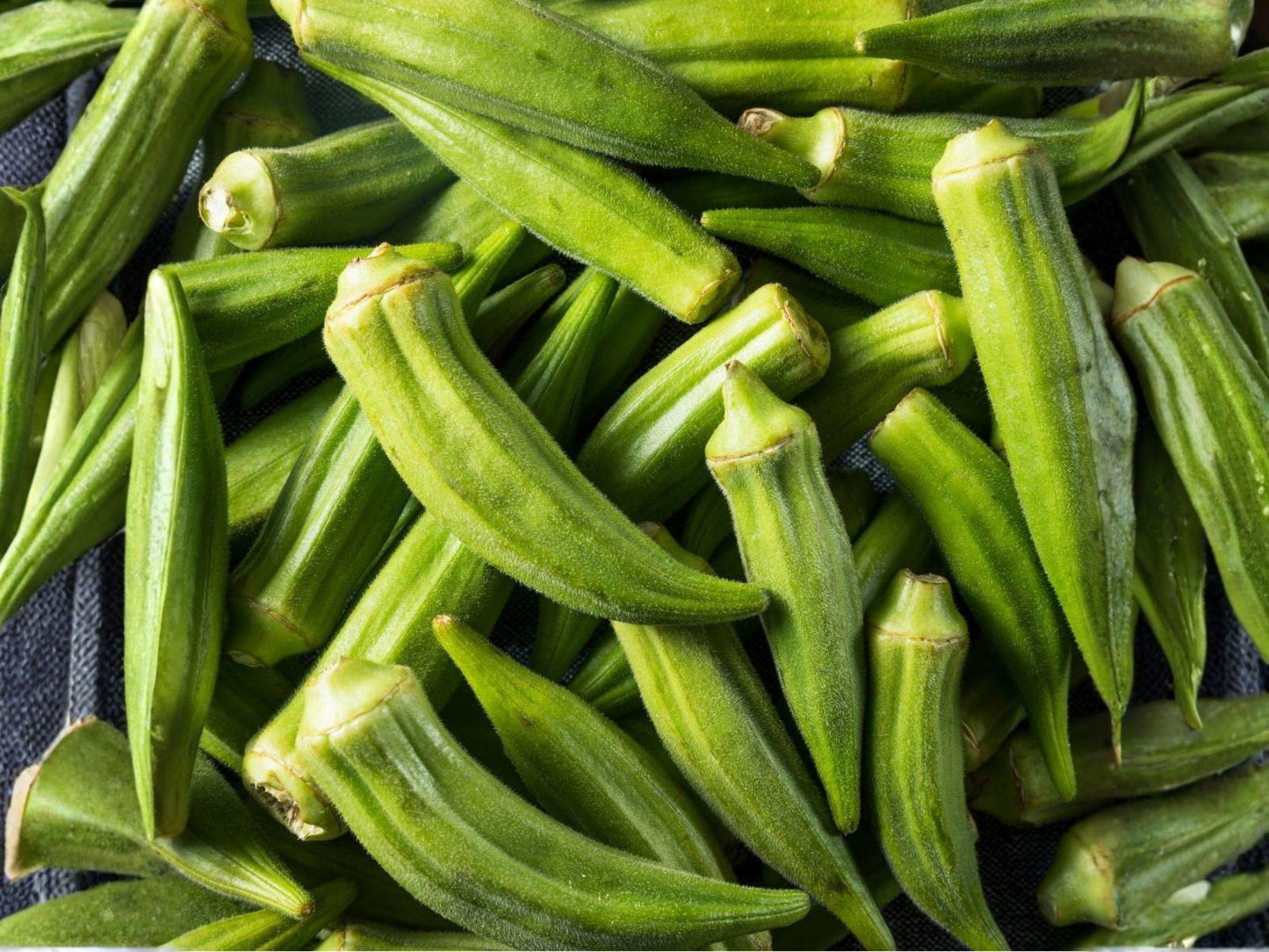 Clemson Spineless Okra Seeds – Heirloom Vegetable Garden Plant – Abelmoschus esculentus – Spineless Pods, High Yield