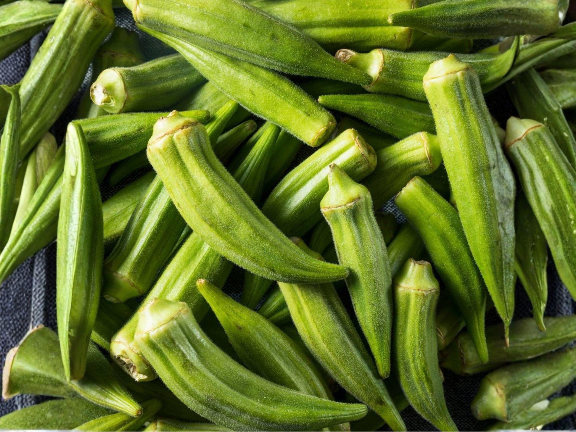 Clemson Spineless Okra Seeds – Heirloom Vegetable Garden Plant – Abelmoschus esculentus – Spineless Pods, High Yield