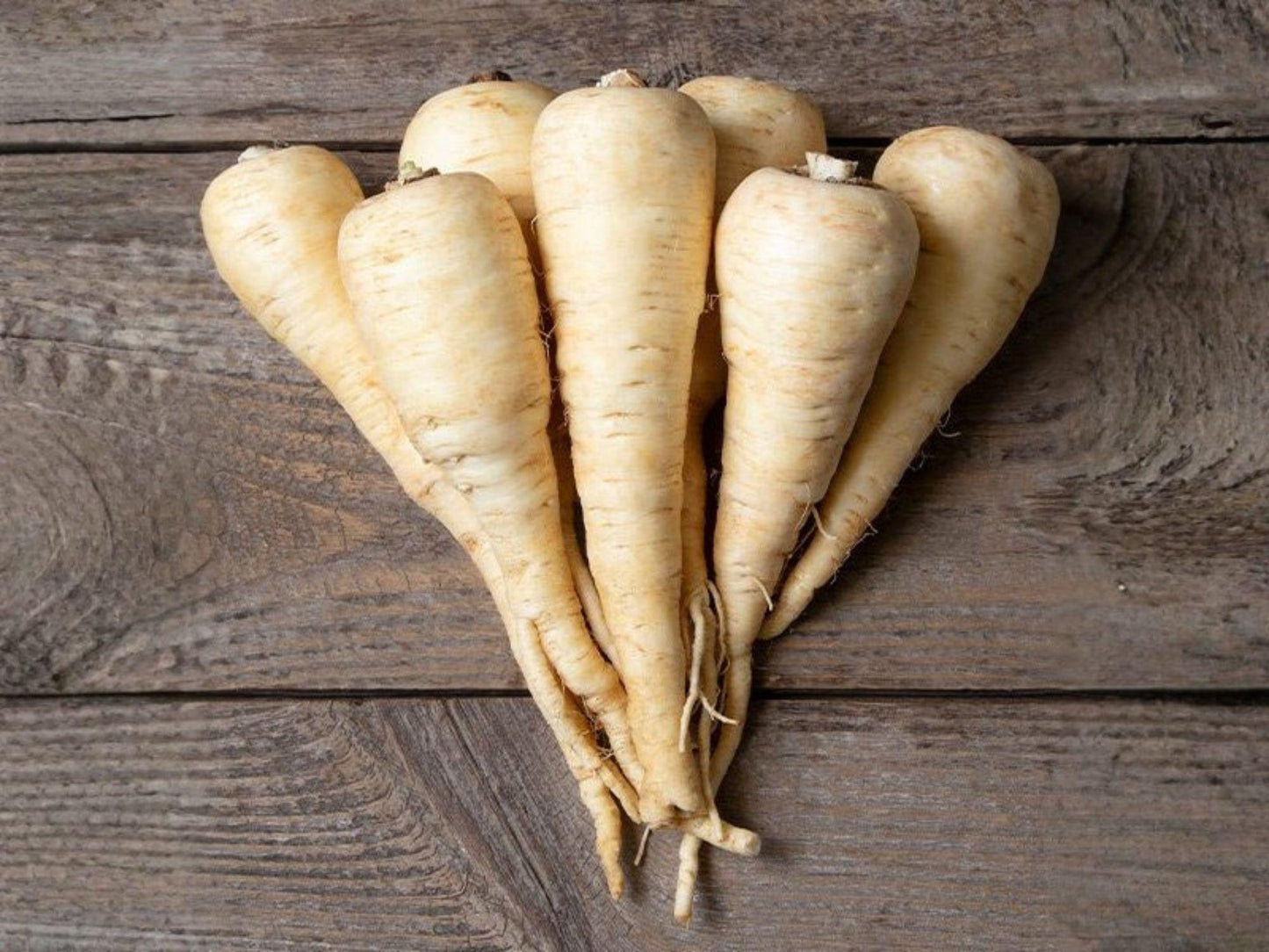 All American Parsnip Seeds – Heirloom Root Vegetable, Sweet White Roots, Cold Tolerance, 100 Seeds