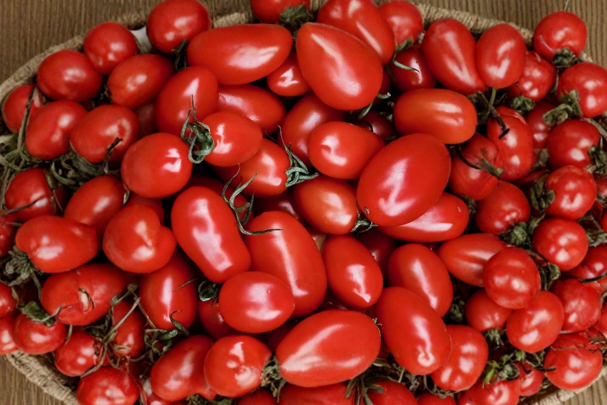 Heirloom Roma Tomato Seeds – High Yield, Non-GMO for Canning & Sauce, Oblong Plum Variety, Solanum lycopersicum