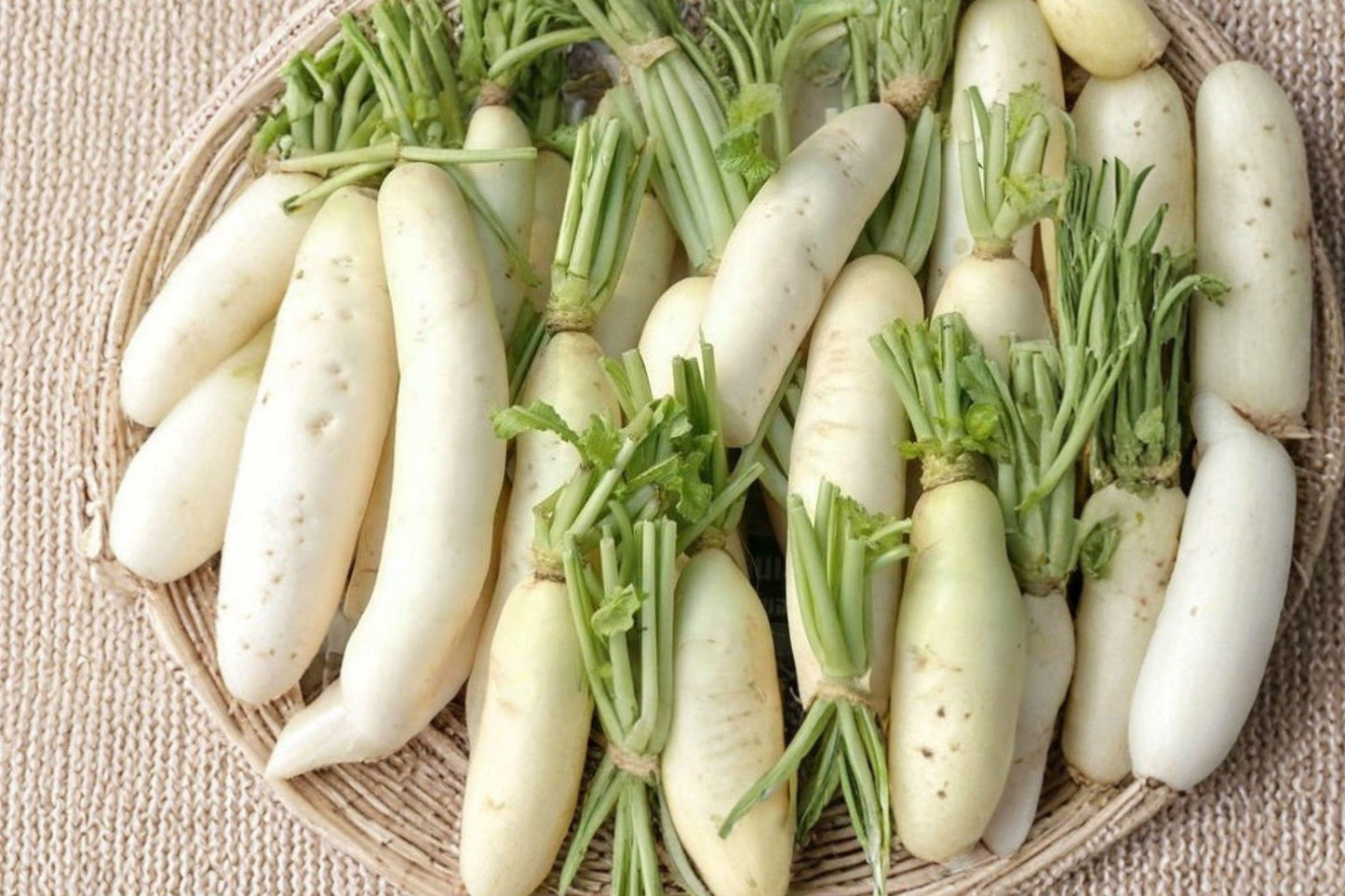 Japanese Minowase Daikon Radish Seeds – Heirloom Long White Roots for Fall Harvest, Cool-Season, 100 Seeds