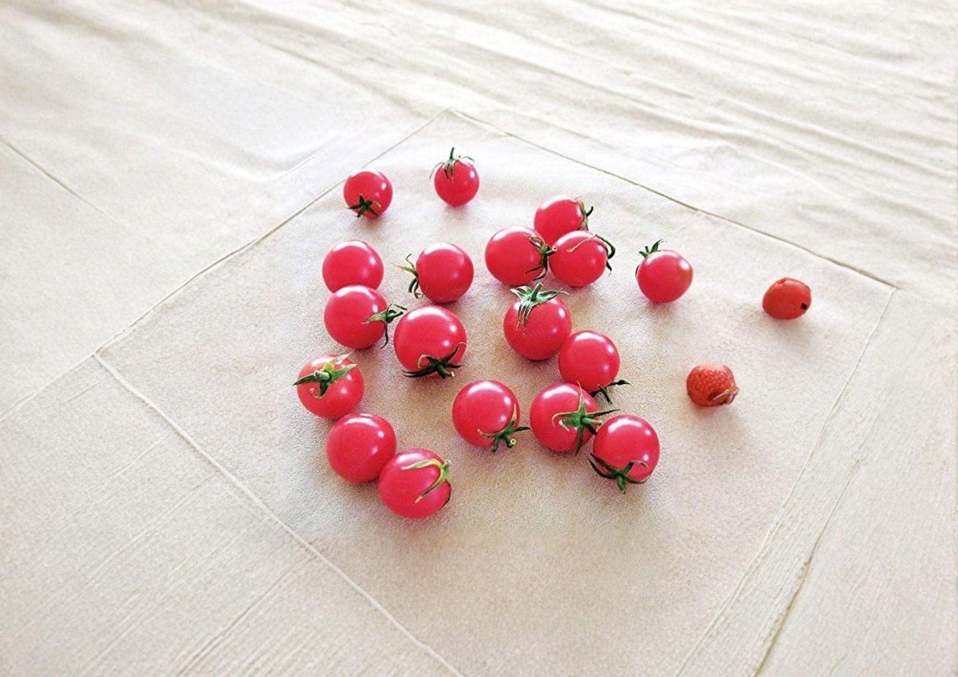 Small Red Cherry Tomato Seeds – Heirloom Sweet Cherry Variety for Garden Beds & Containers – Juicy, Productive, Perfect for Snacks & Salads