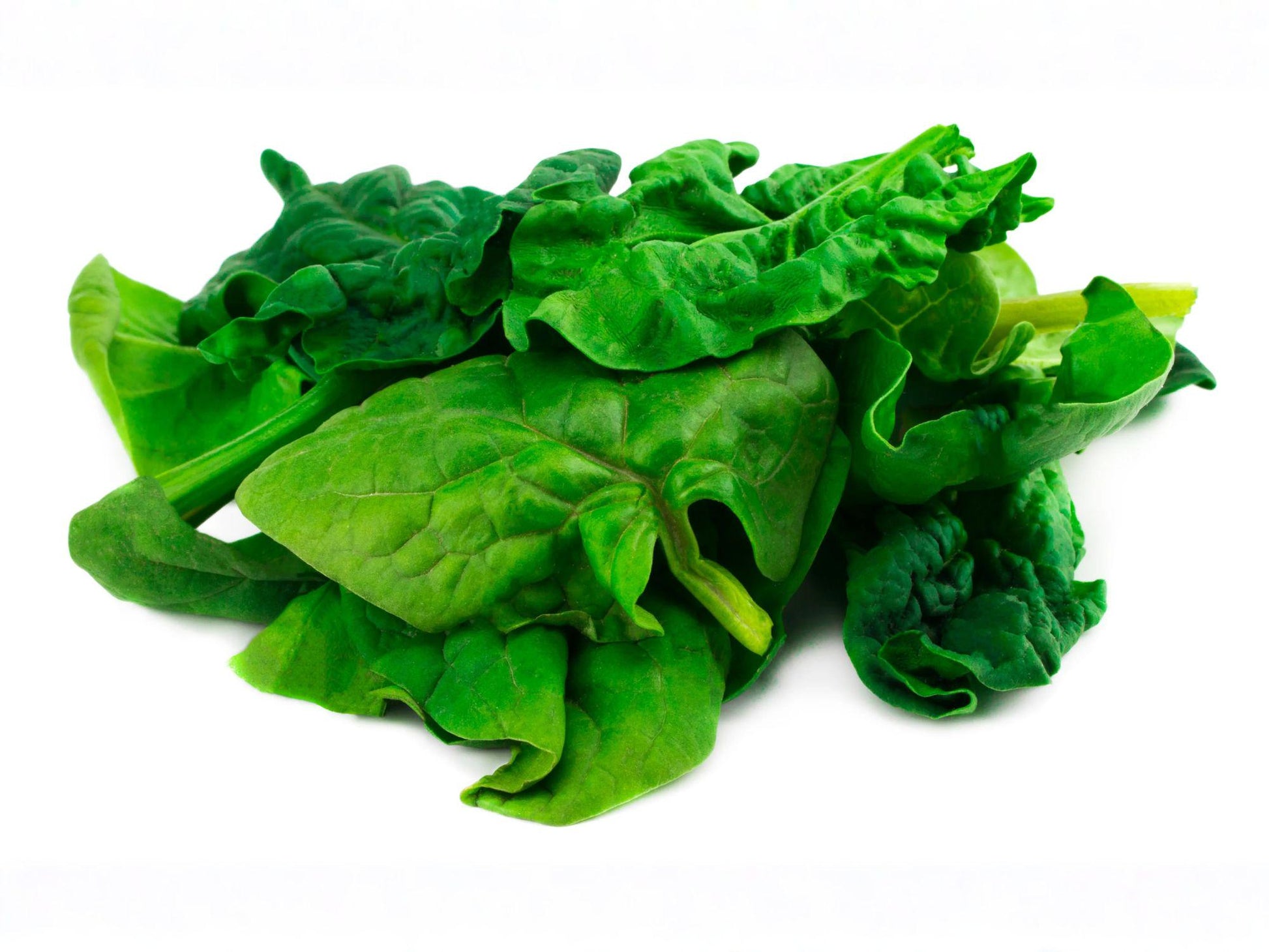 Bloomsdale Long Standing Spinach Seeds – Heirloom Savoy Garden Vegetable, Organic, Non-GMO, 100 Seeds
