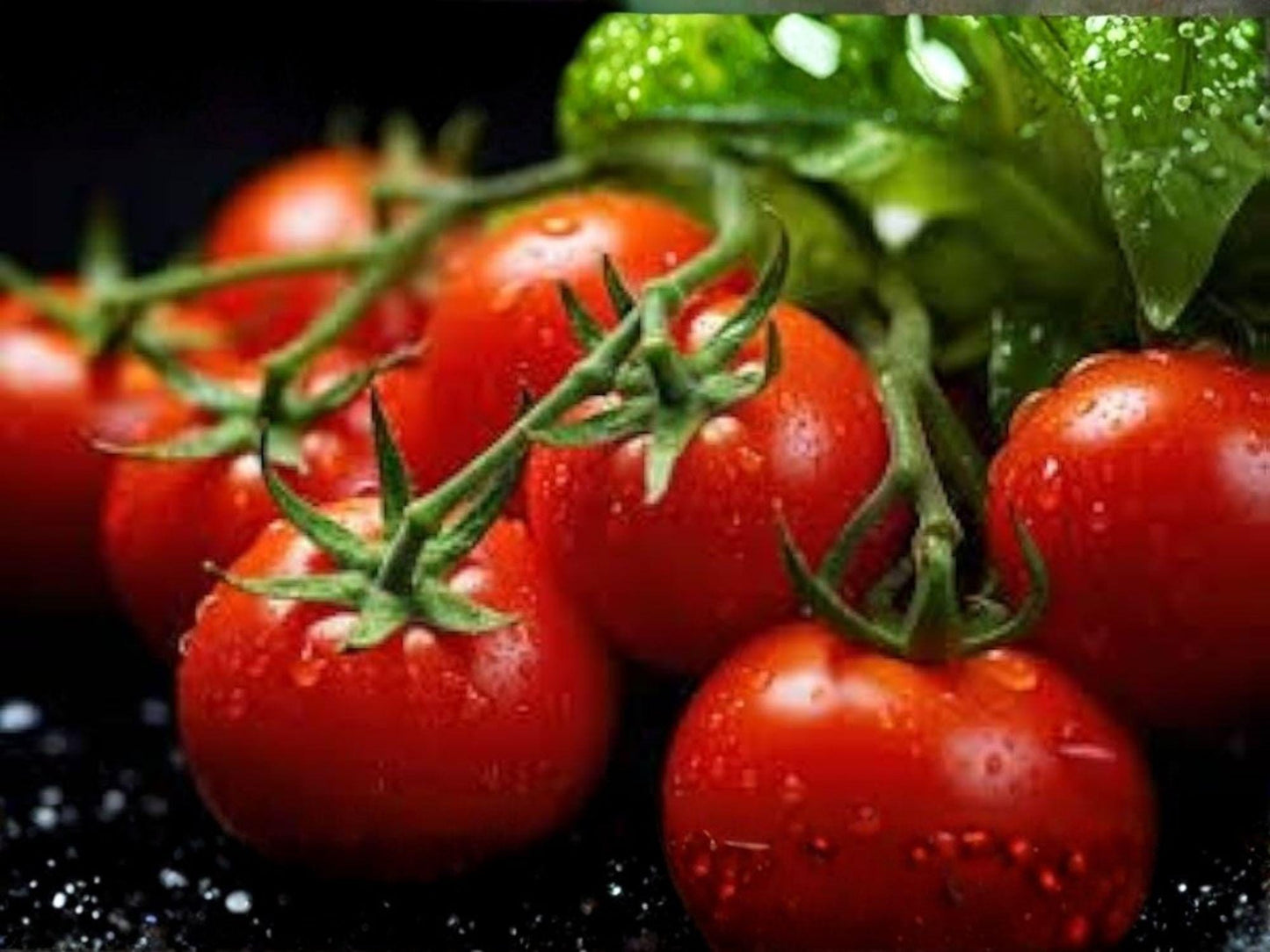 Heirloom Roma Tomato Seeds – Meaty Paste for Sauce & Canning, Determinate Variety, Organic, 30 Seeds
