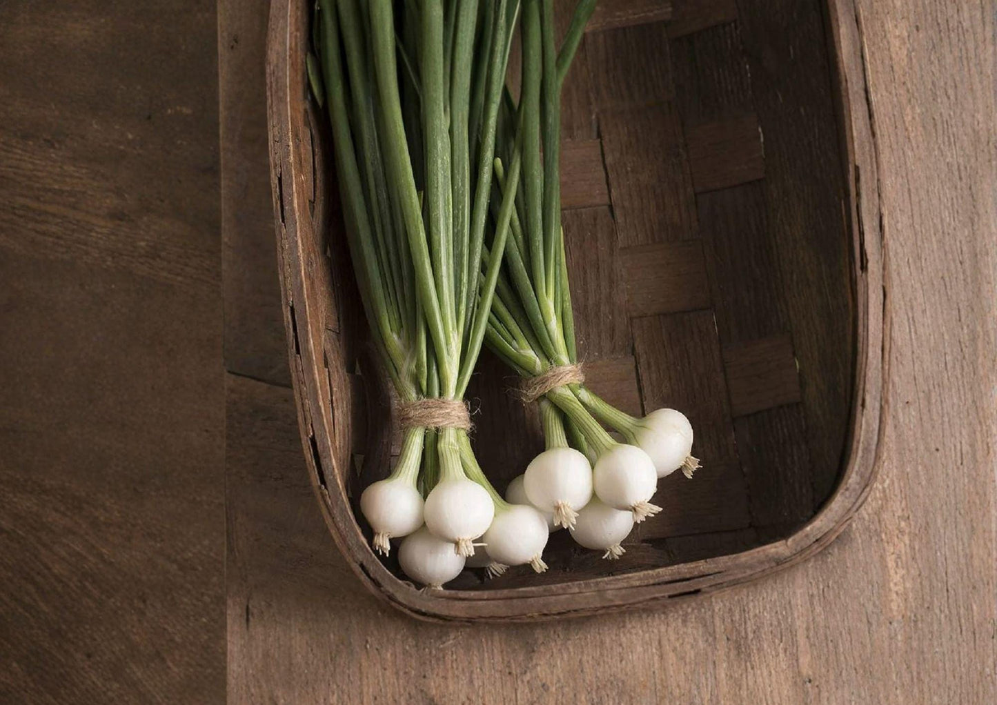 Blanco Duro Onion Seeds – Heirloom White Storage Onions for Garden Growing – Long-Day, Crisp, Large Bulbs, 50 Seeds