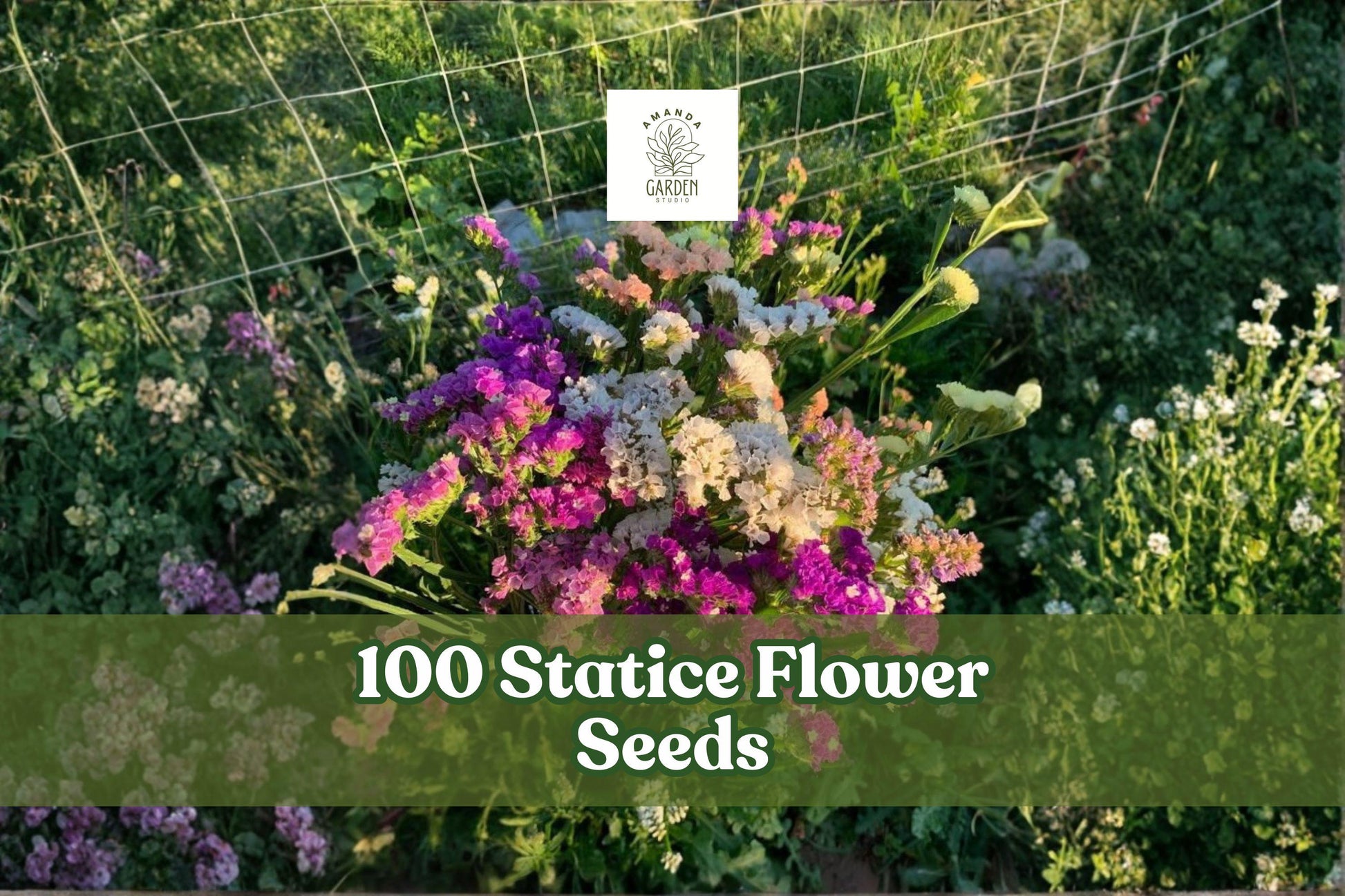 Statice Flower Seeds – Mixed Colors for Cut Flowers & Dried Arrangements – Limonium spp.