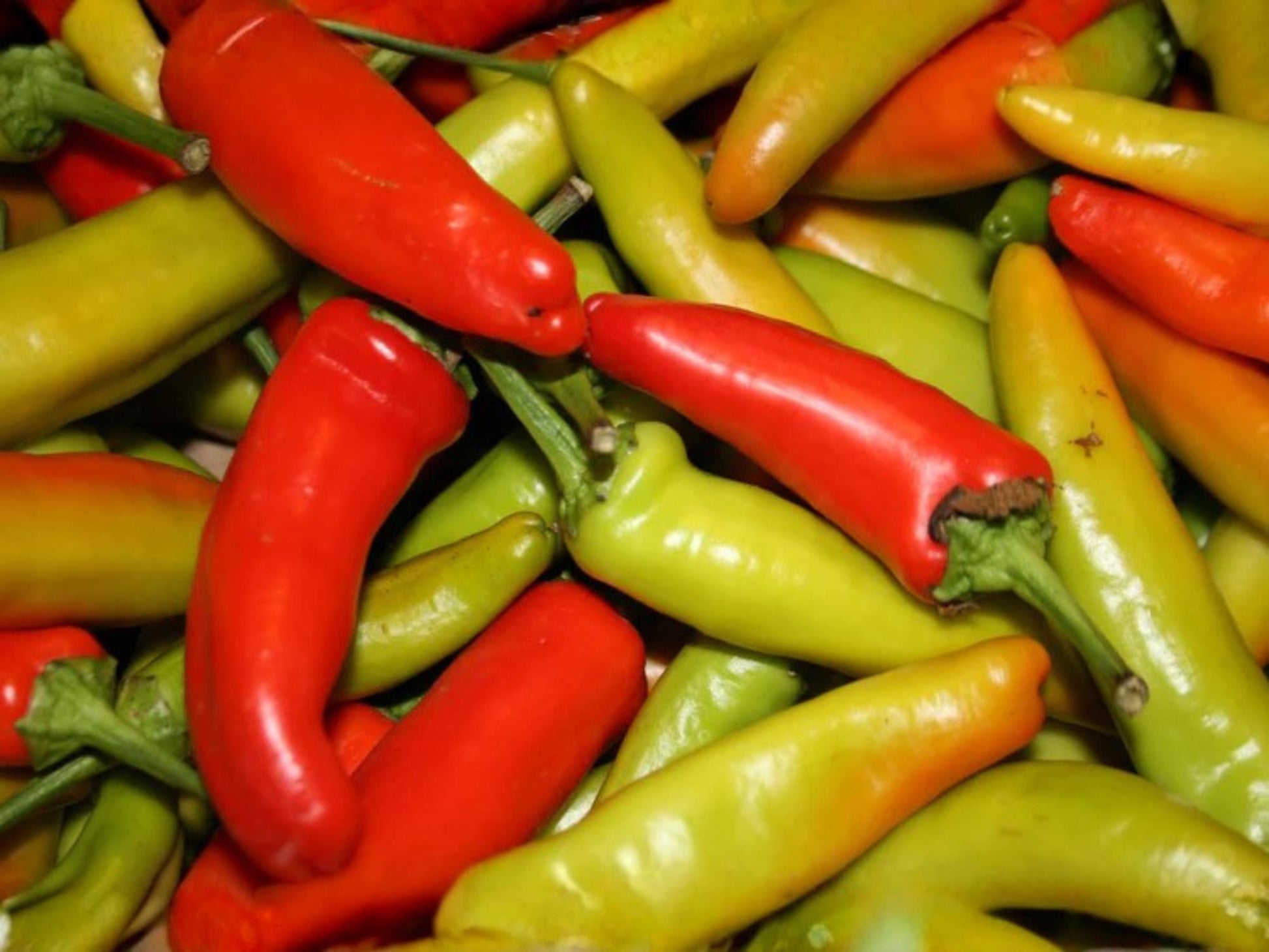 Cubanelle Sweet Pepper Seeds – Heirloom Italian Frying Pepper, Mild Yellow Green, S. annuum