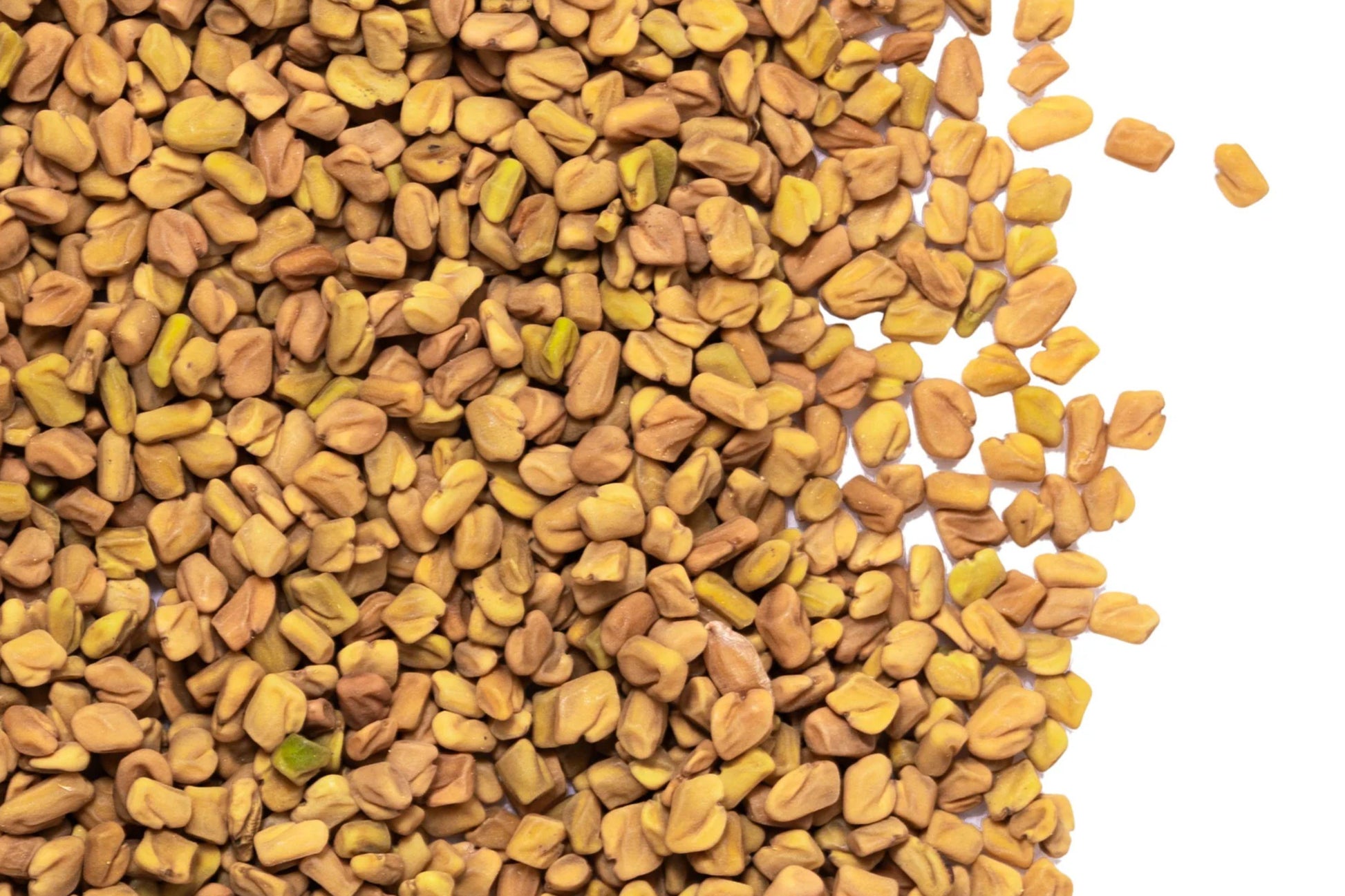 Heirloom Fenugreek Seeds for Culinary & Medicinal Use – Trigonella foenum-graecum, Non-GMO Herb Seeds for Gardens & Containers